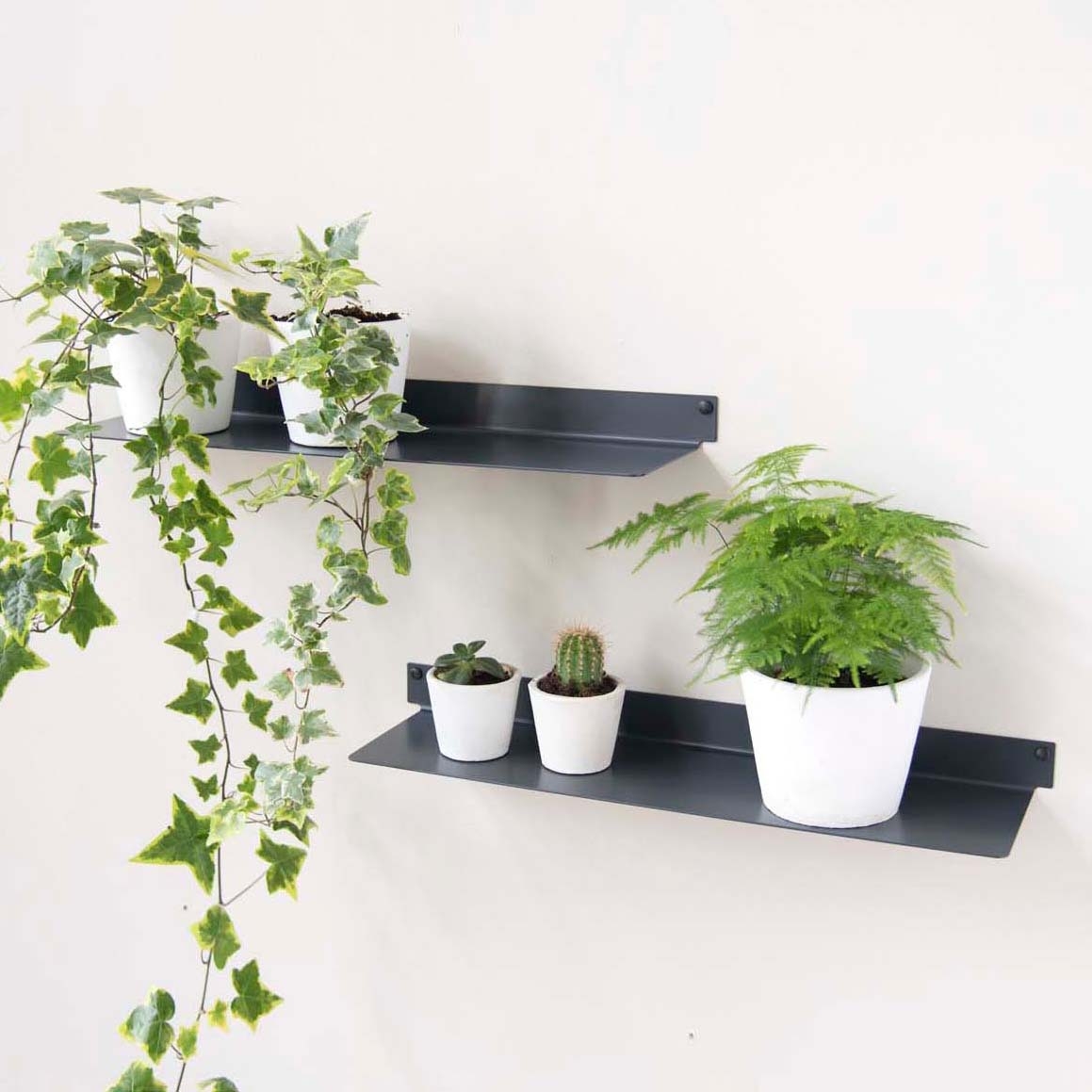 Display product TEEline 60 cm Set of 2 Grey Aluminium Design Bathroom  Wall Shelf from manufacturer Teebooks