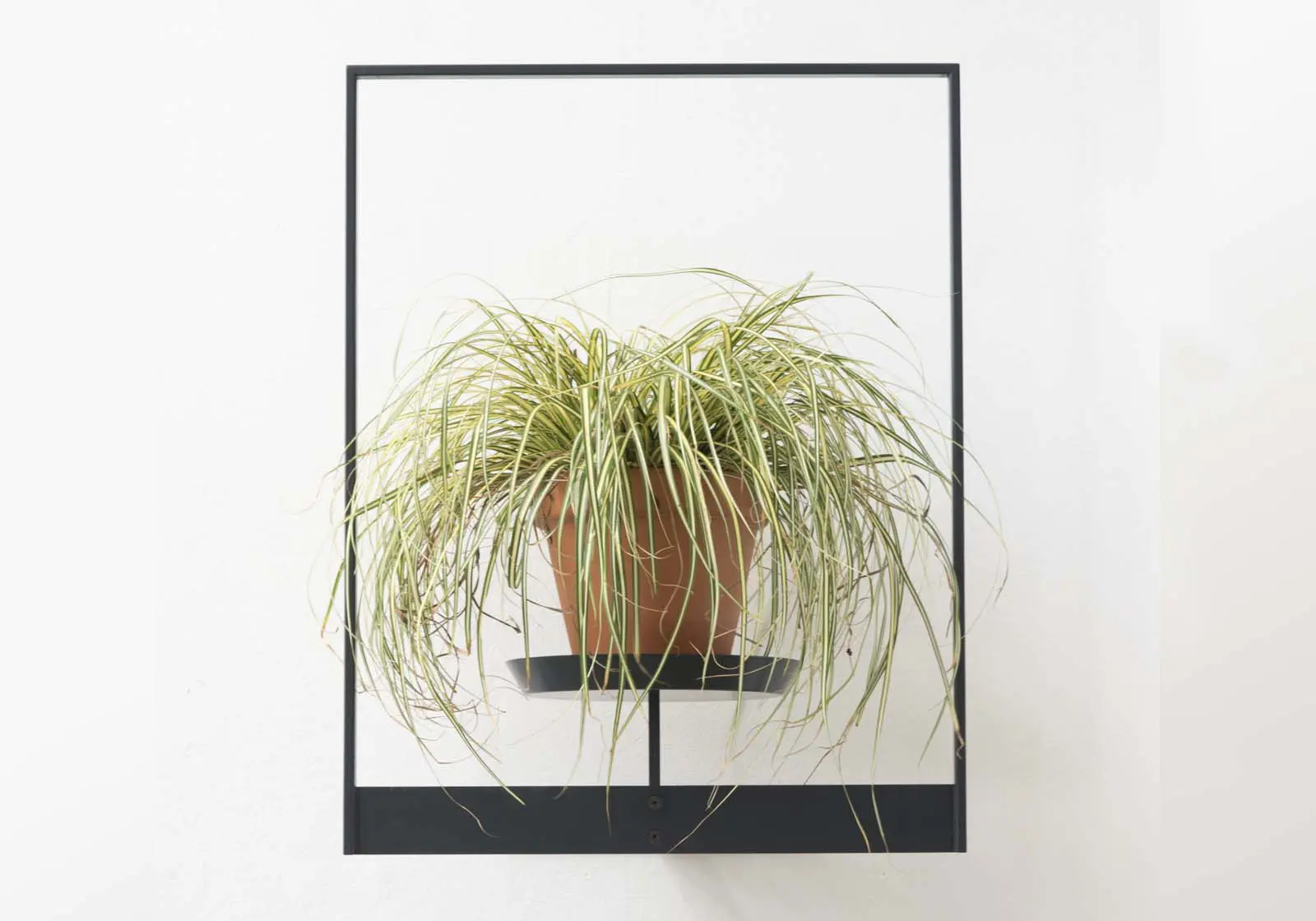 Teebooks - TEEpots Floating Plant Shelf