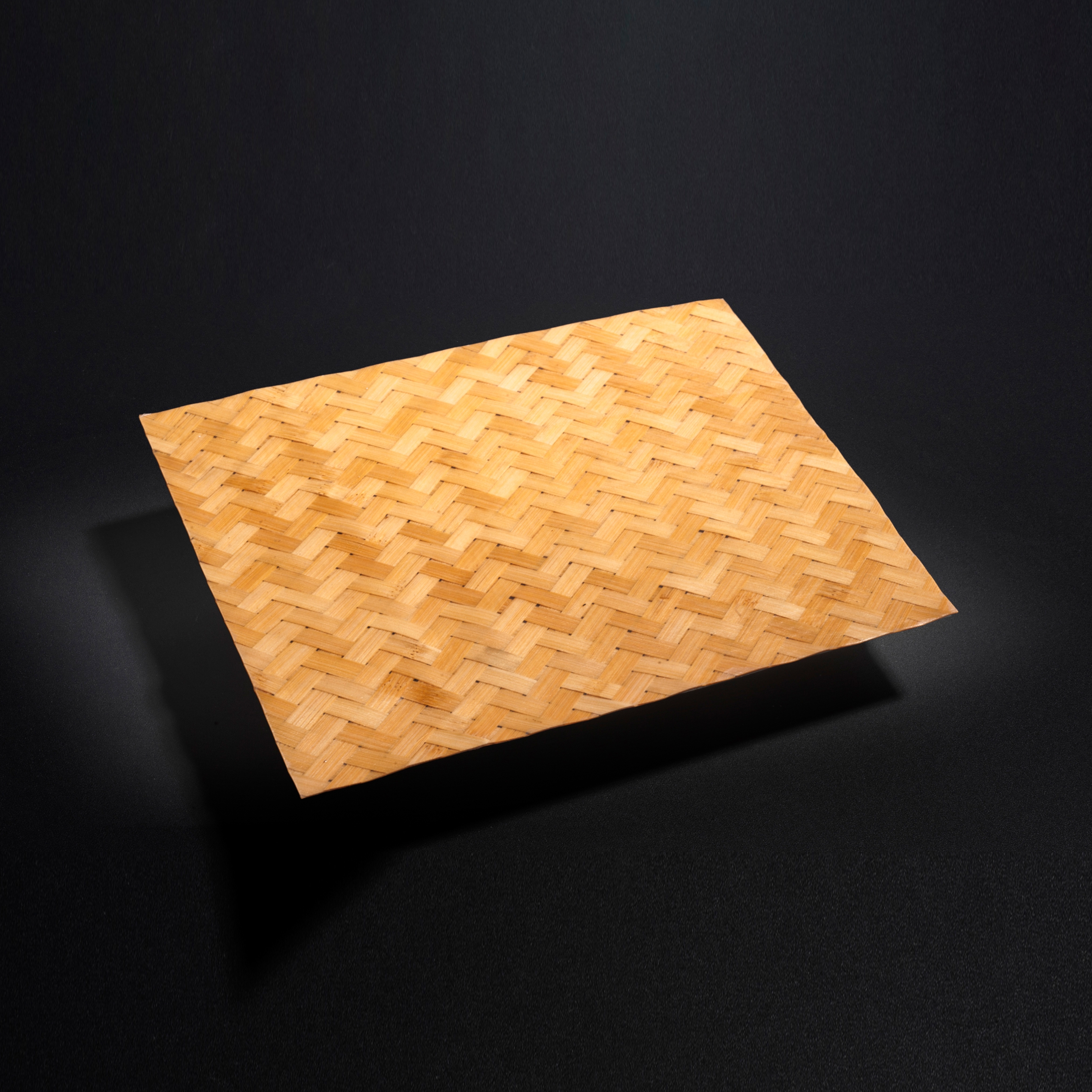 FLEXIBLE PANELS