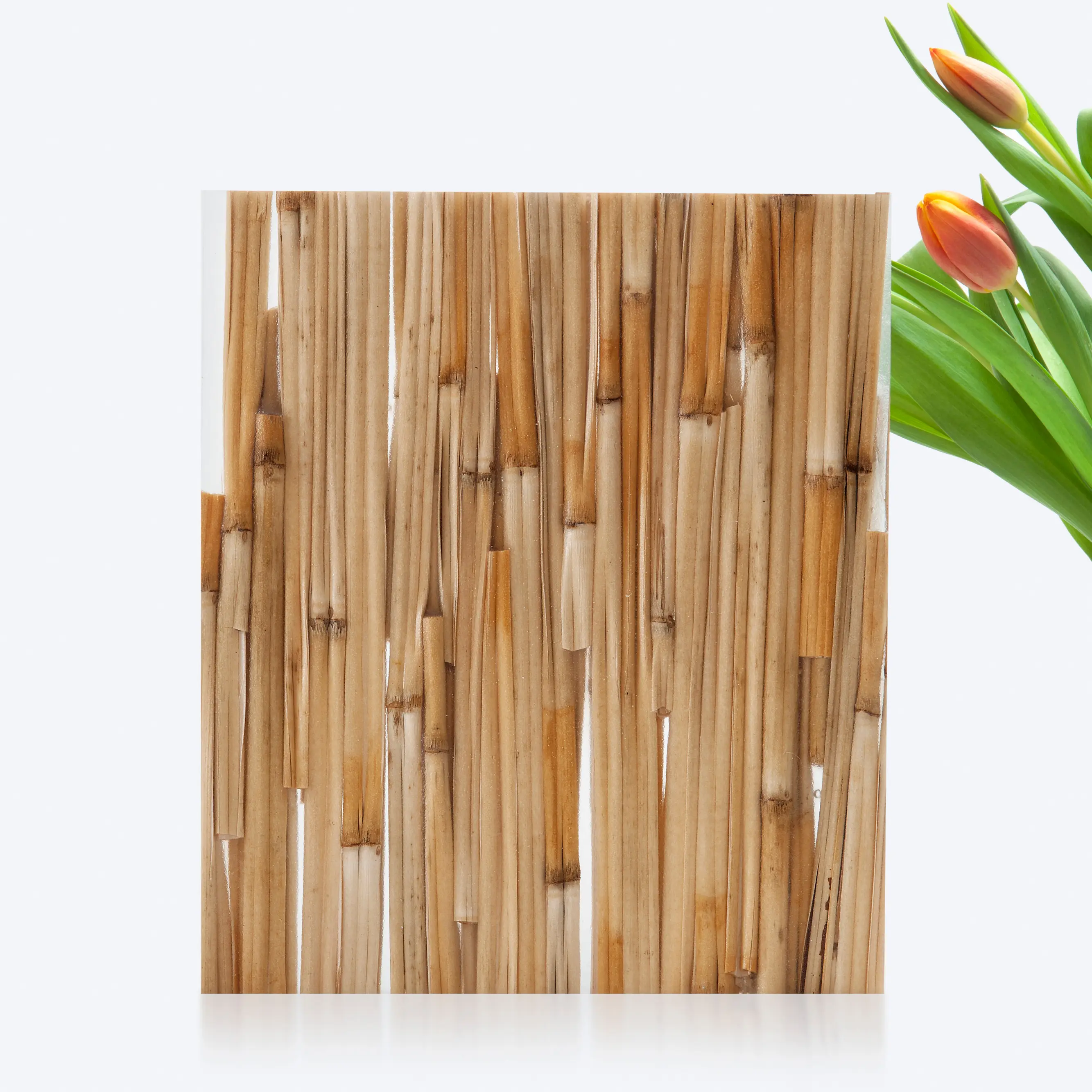 S-Plasticon - Flexible | Bamboo