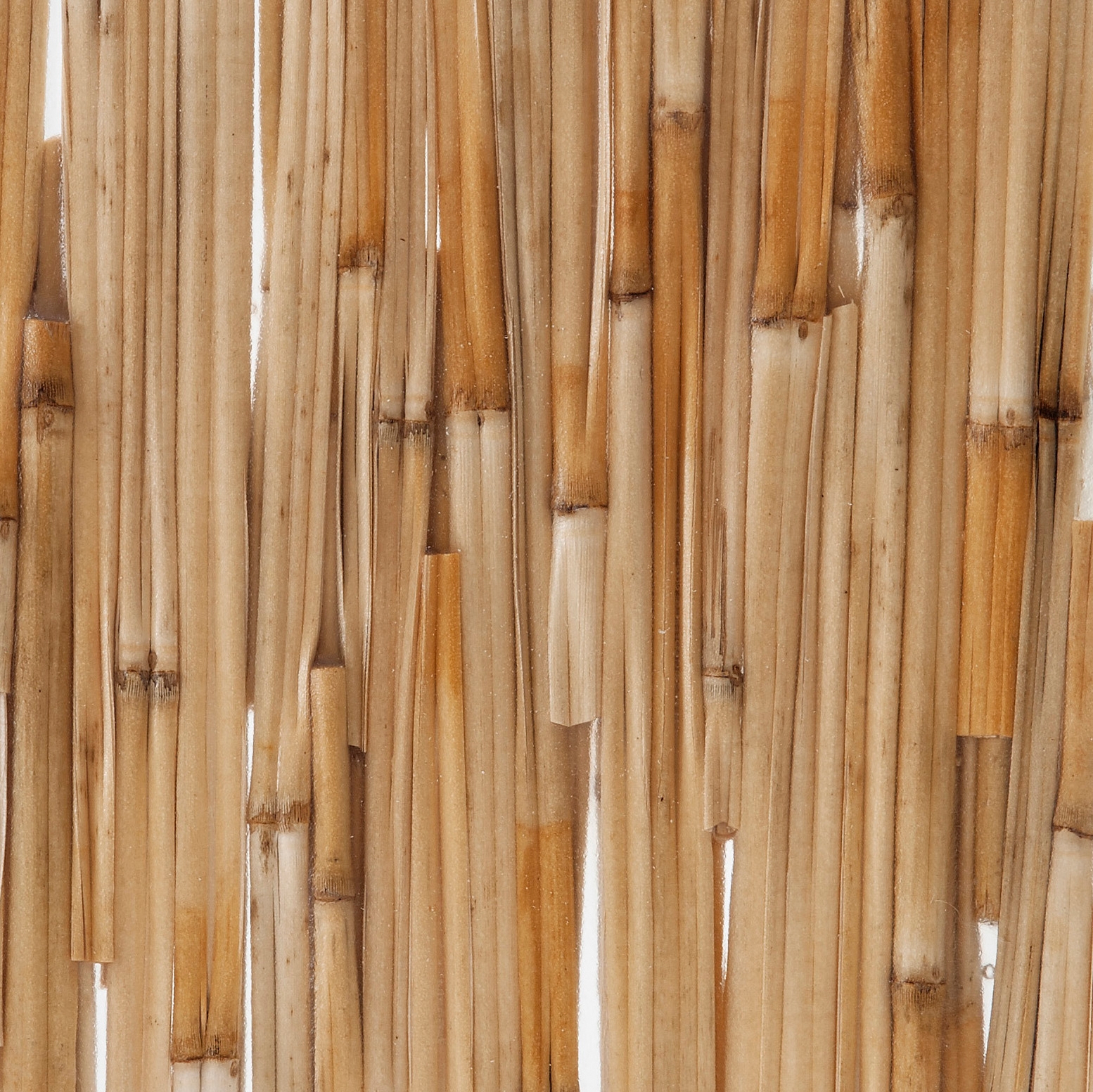 Mostra il prodotto Flexible | Bamboo del produttore S-Plasticon