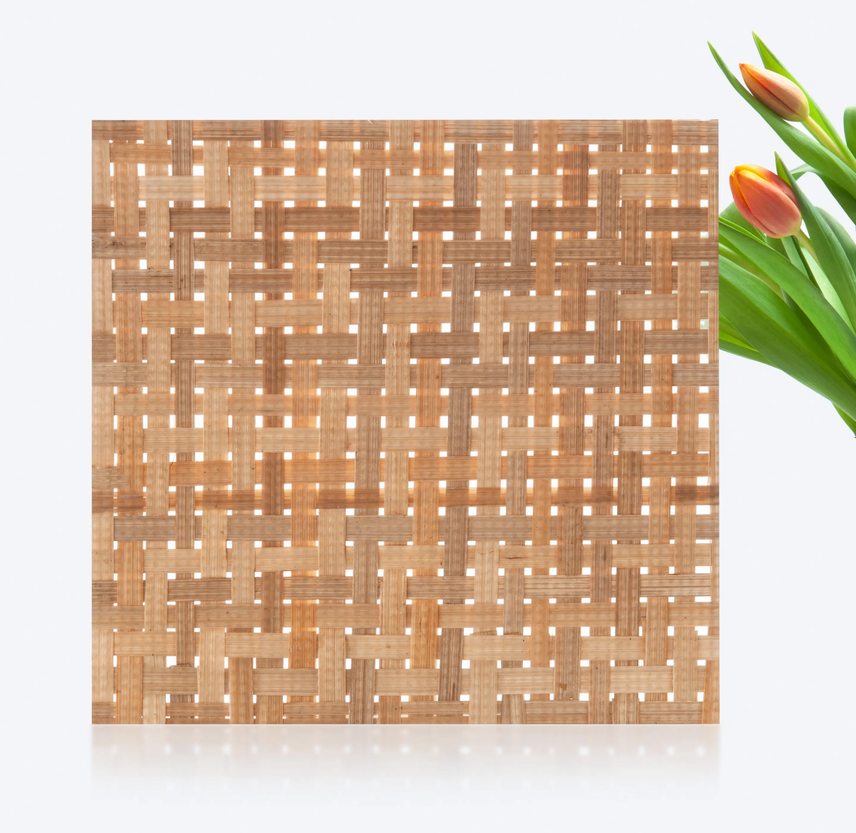 S-Plasticon - Flexible | Big_Rattan