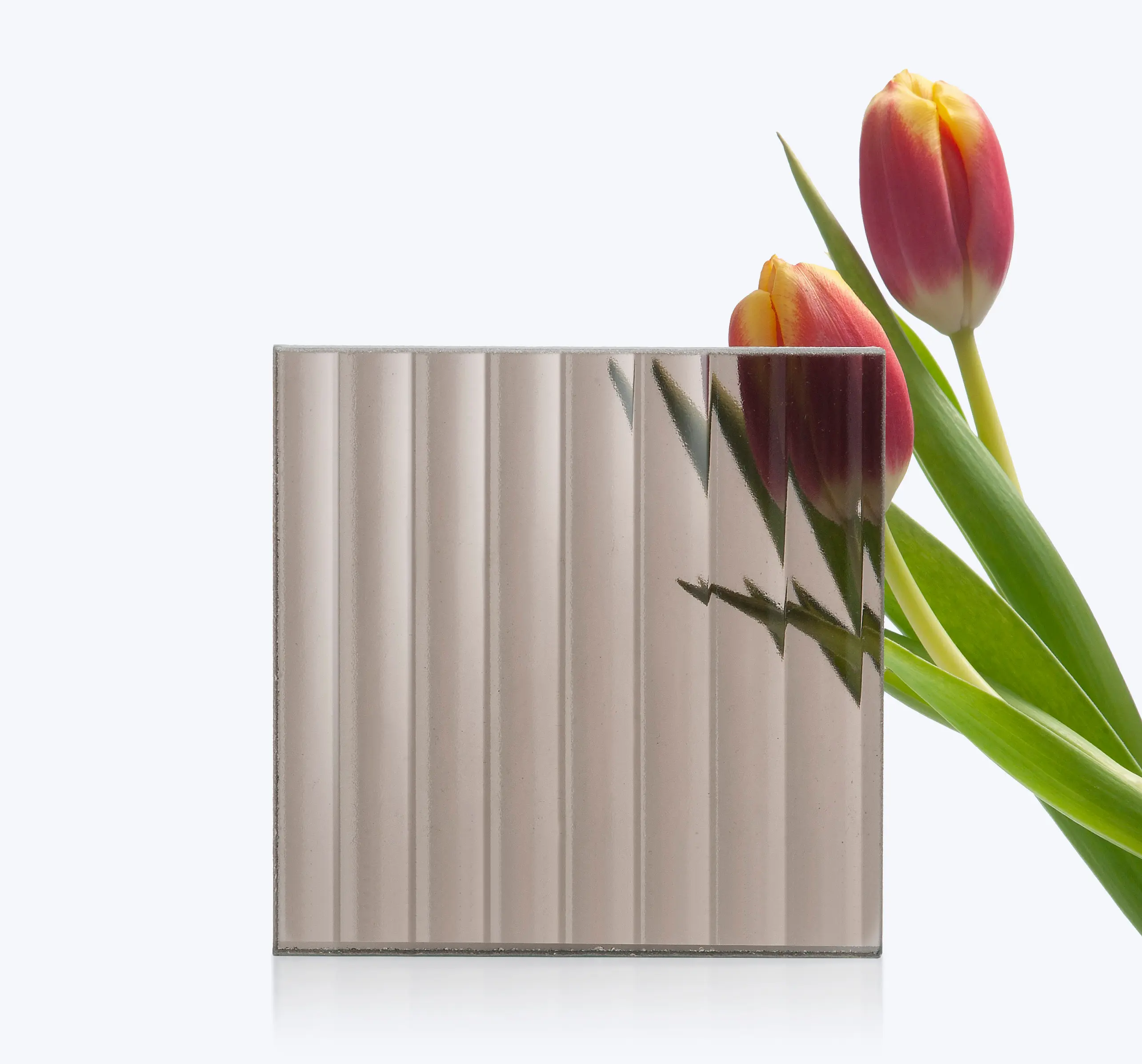 S-Plasticon - Glam Raised | Riga_Bronze