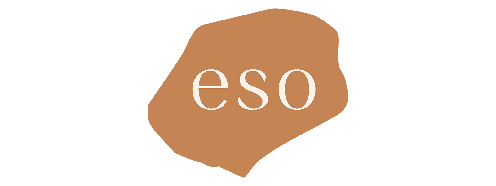 Logo di Eso Surfaces