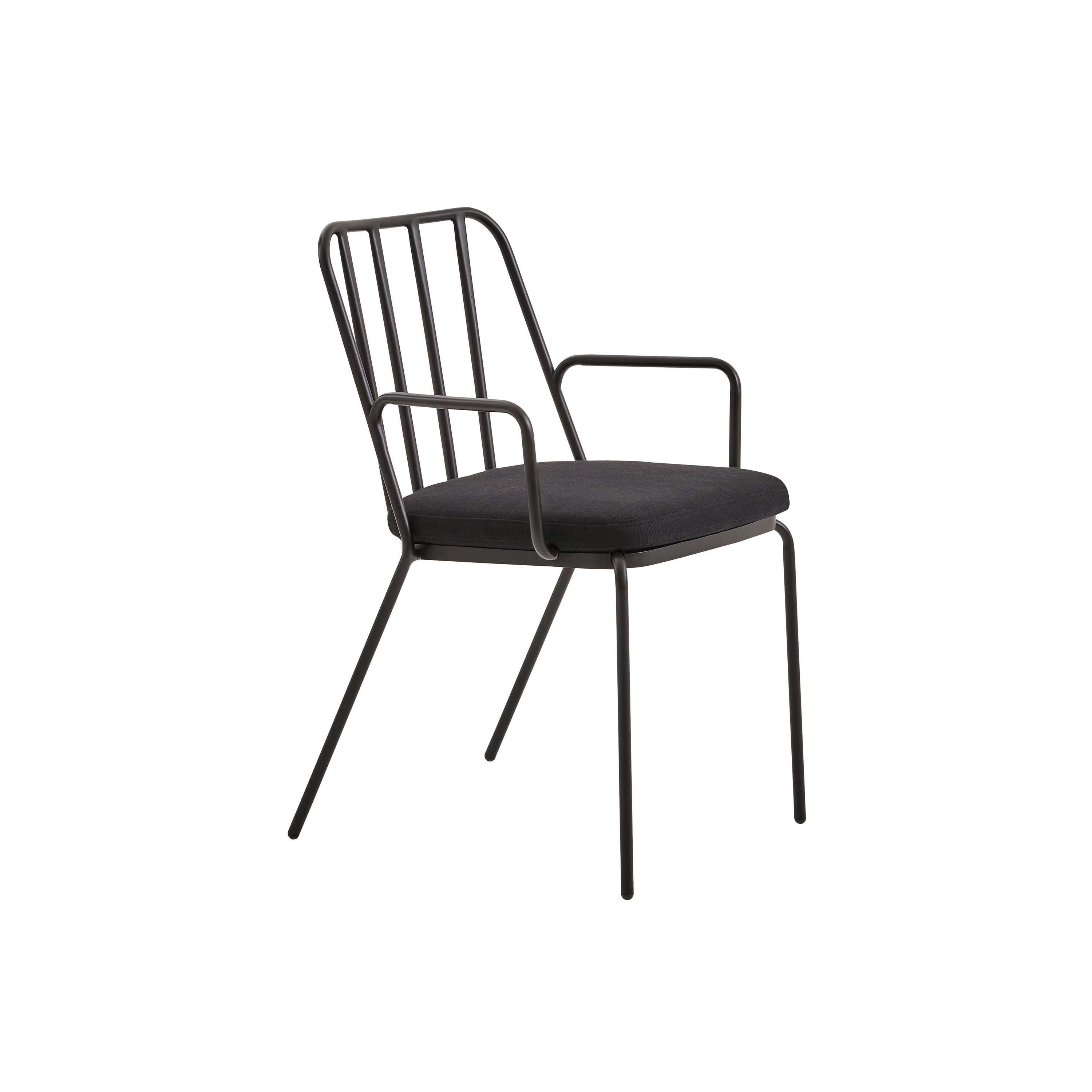 Palm A Chair Indoor
