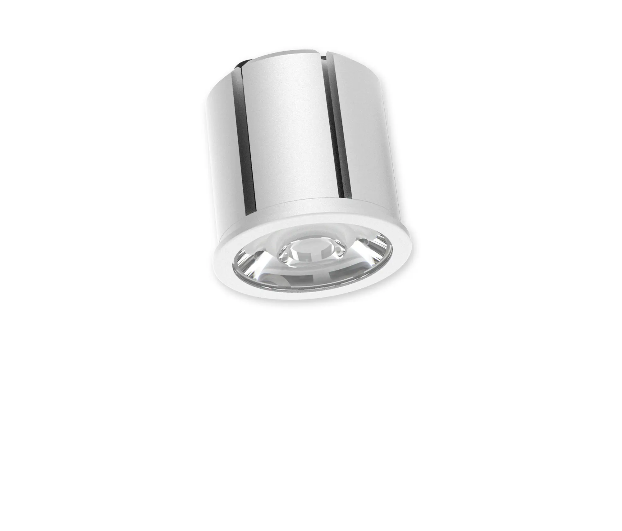 perdix - BARON 2.0® 10W