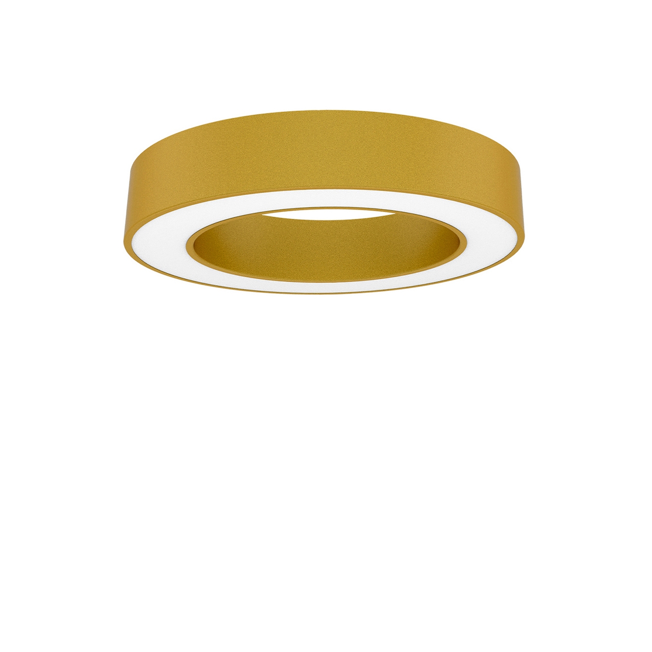Display product BIG CIRCLE RING 2.0® 600 surface from manufacturer perdix