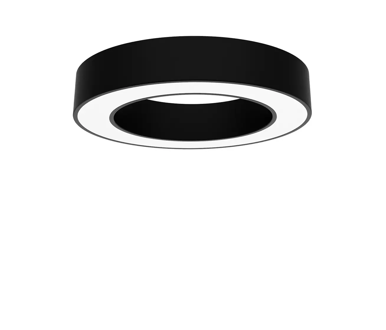 perdix - BIG CIRCLE RING 2.0® 600 surface