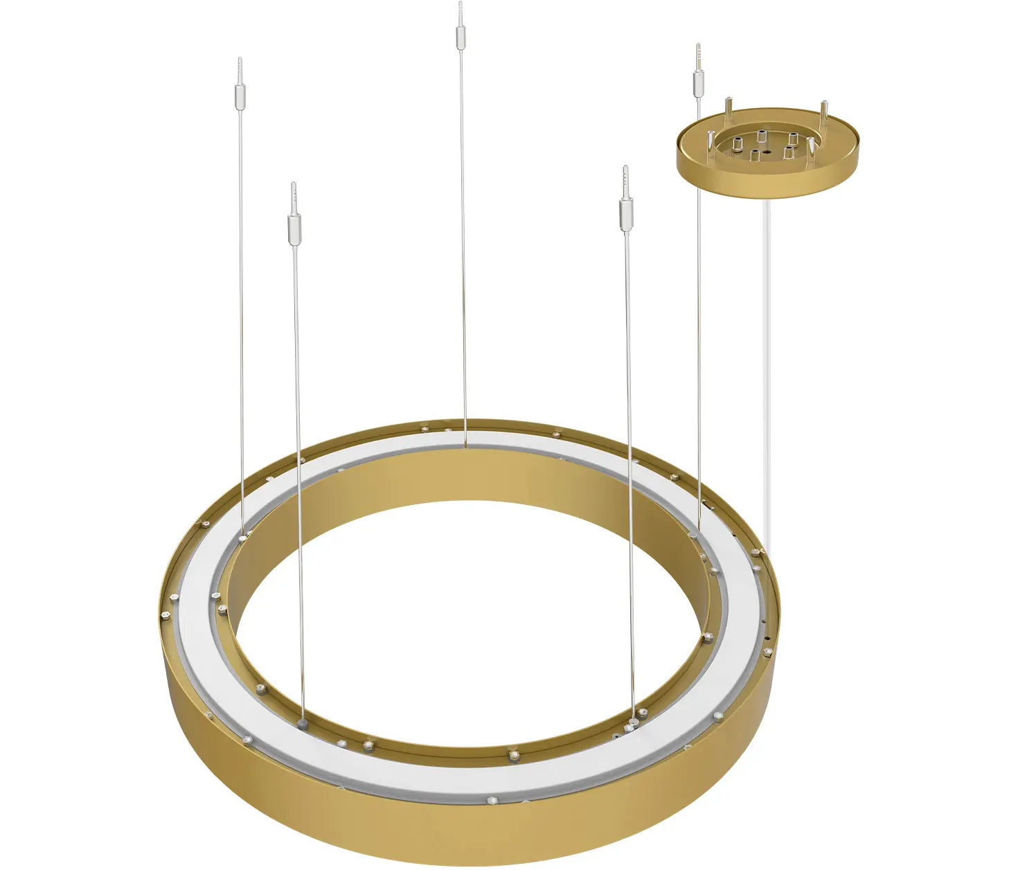 perdix - BIG CIRCLE RING 2.0® 900