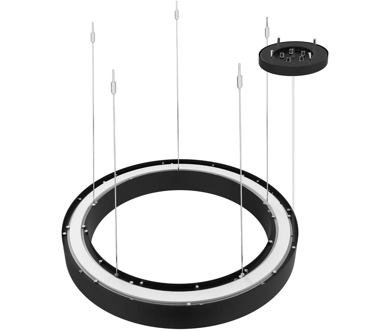 perdix - BIG CIRCLE RING 2.0® 900
