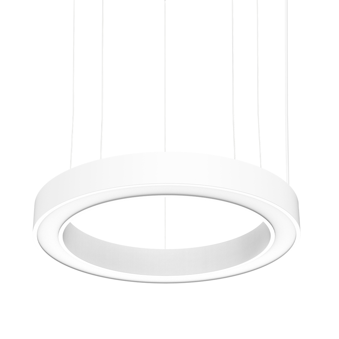 BIG CIRCLE RING 2.0® 900