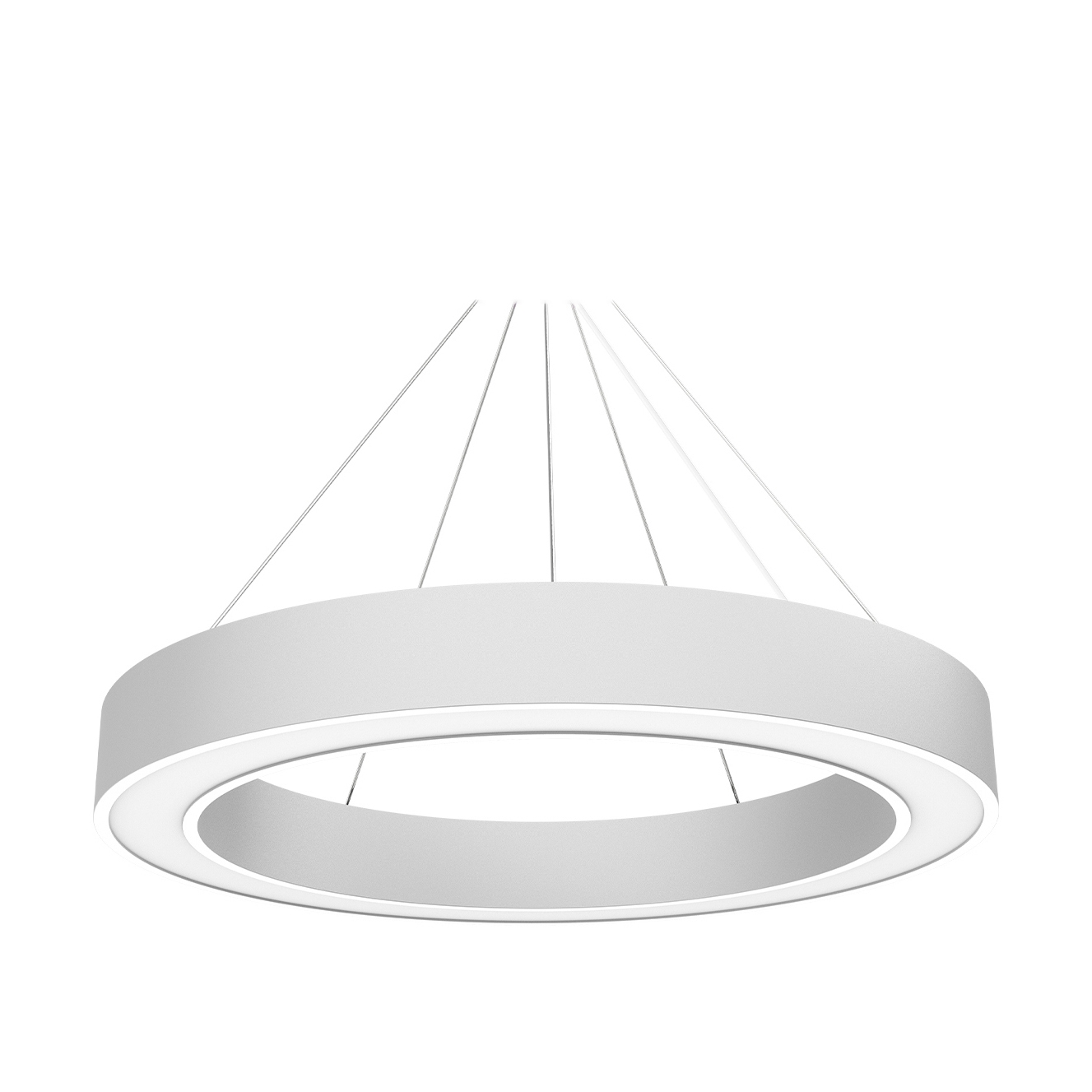 Mostrar el producto BIG CIRCLE RING 2.0® 900 del fabricante perdix