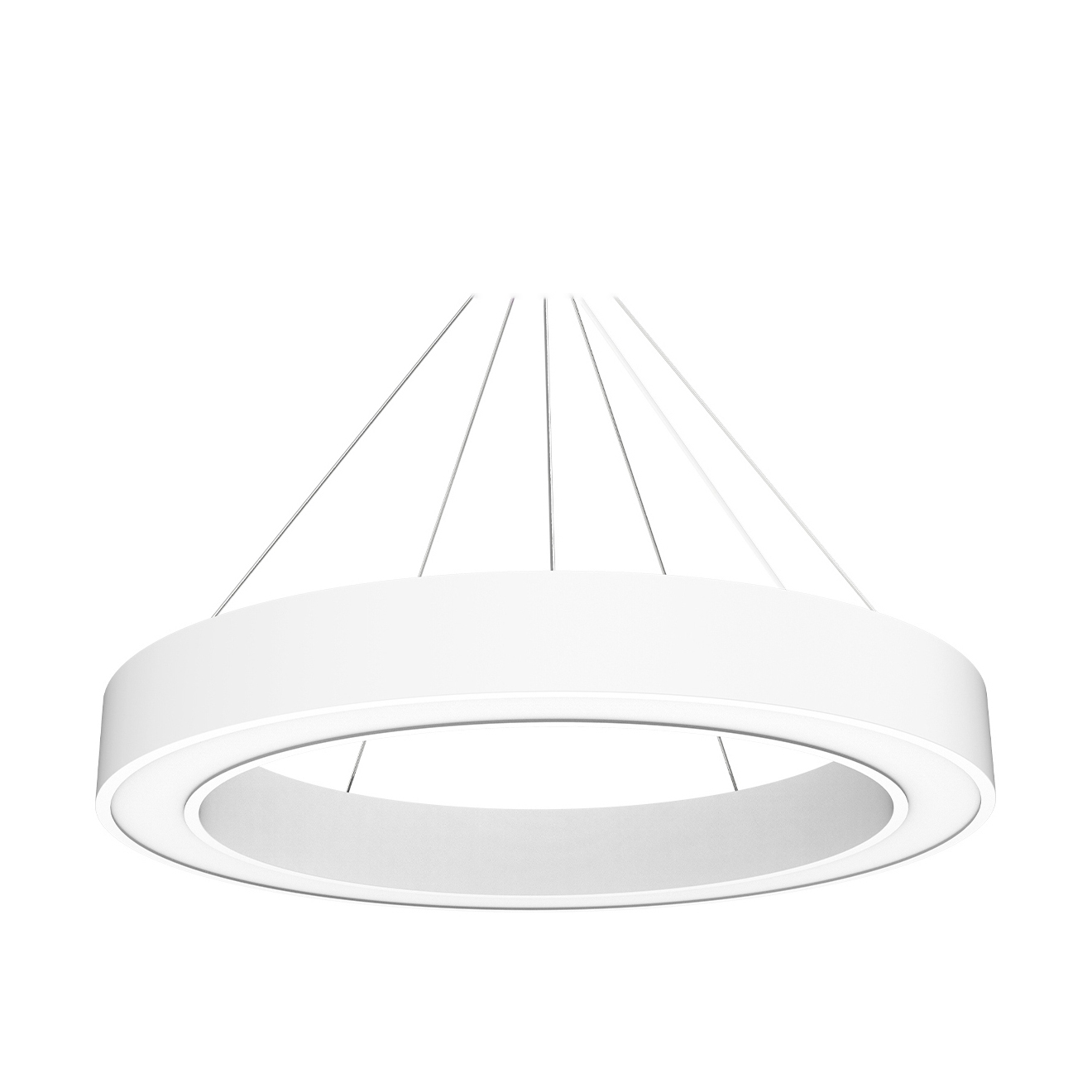 Display product BIG CIRCLE RING 2.0® 900 from manufacturer perdix