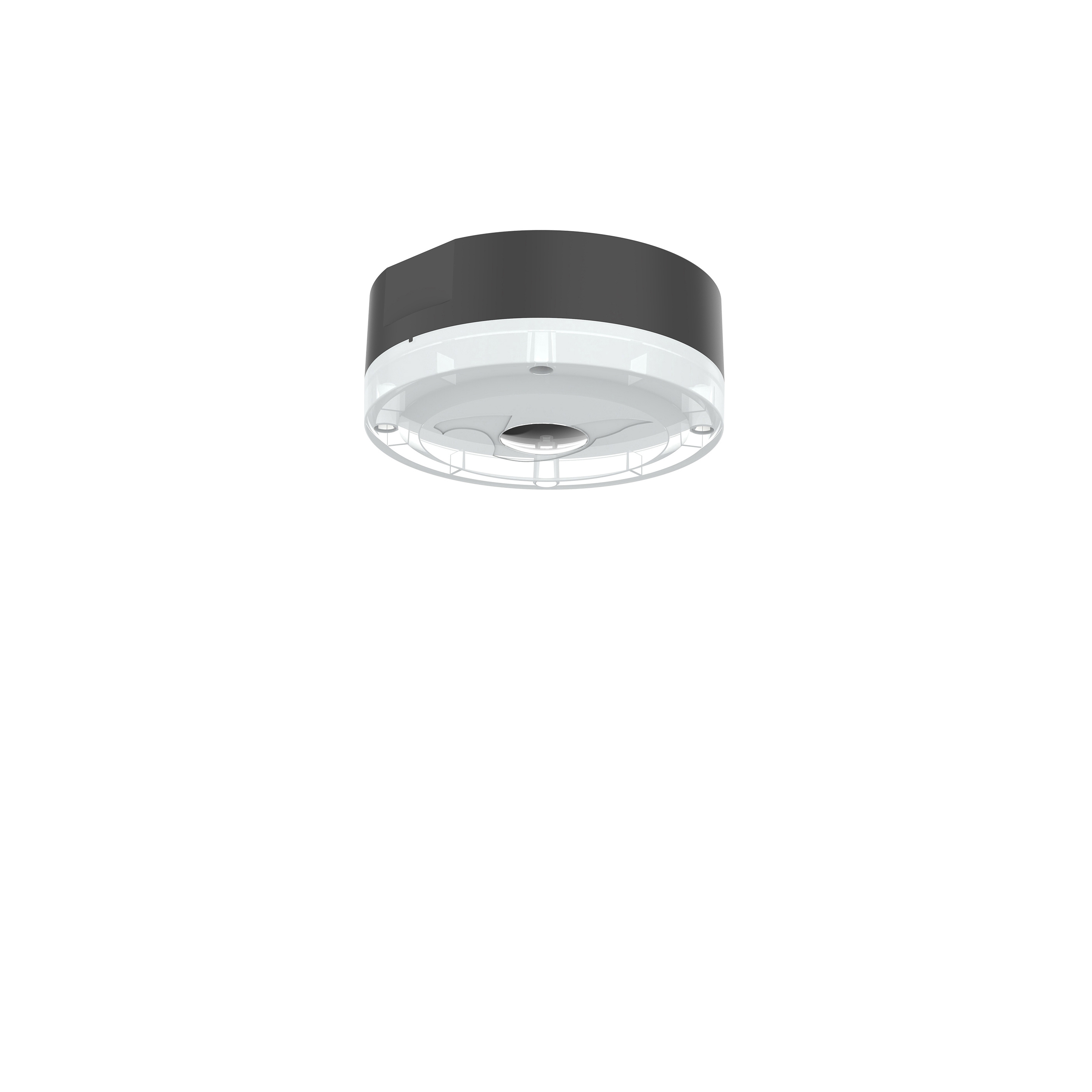 Display product EMER® circle 2.0 surface-mounted from manufacturer perdix