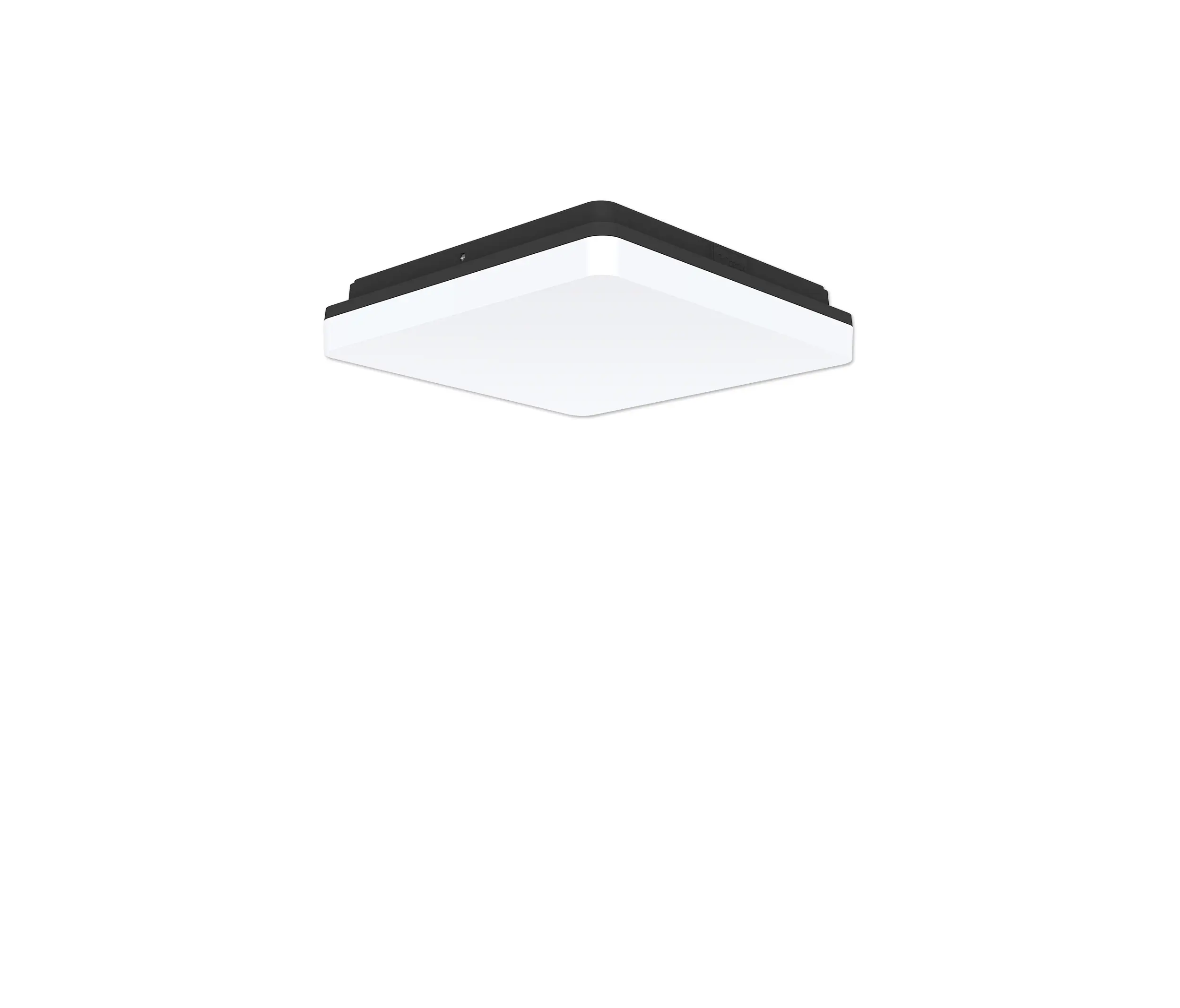 perdix - LIBRE SQUARE 2.0® 250mmx250mm