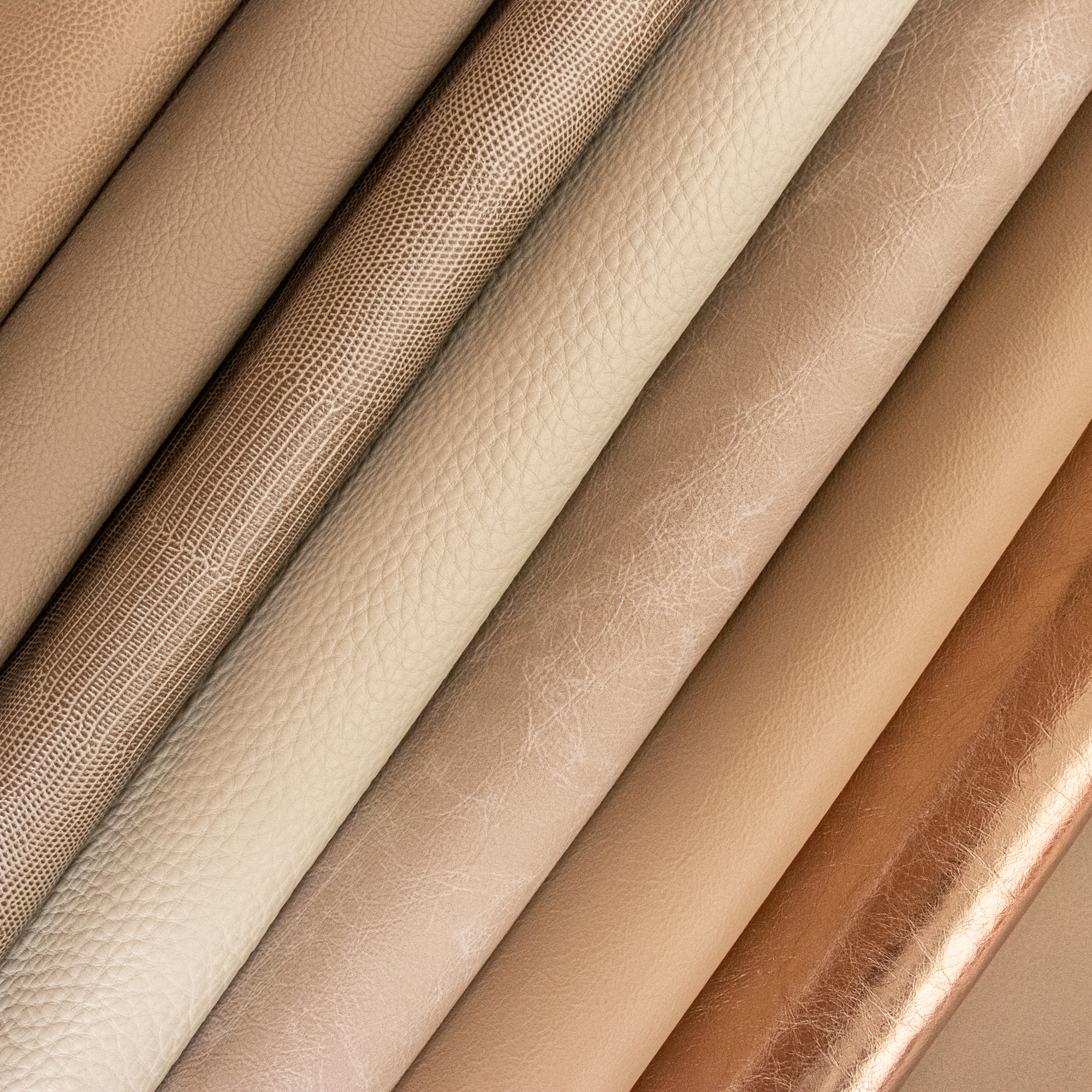 THE LEATHER STORE
