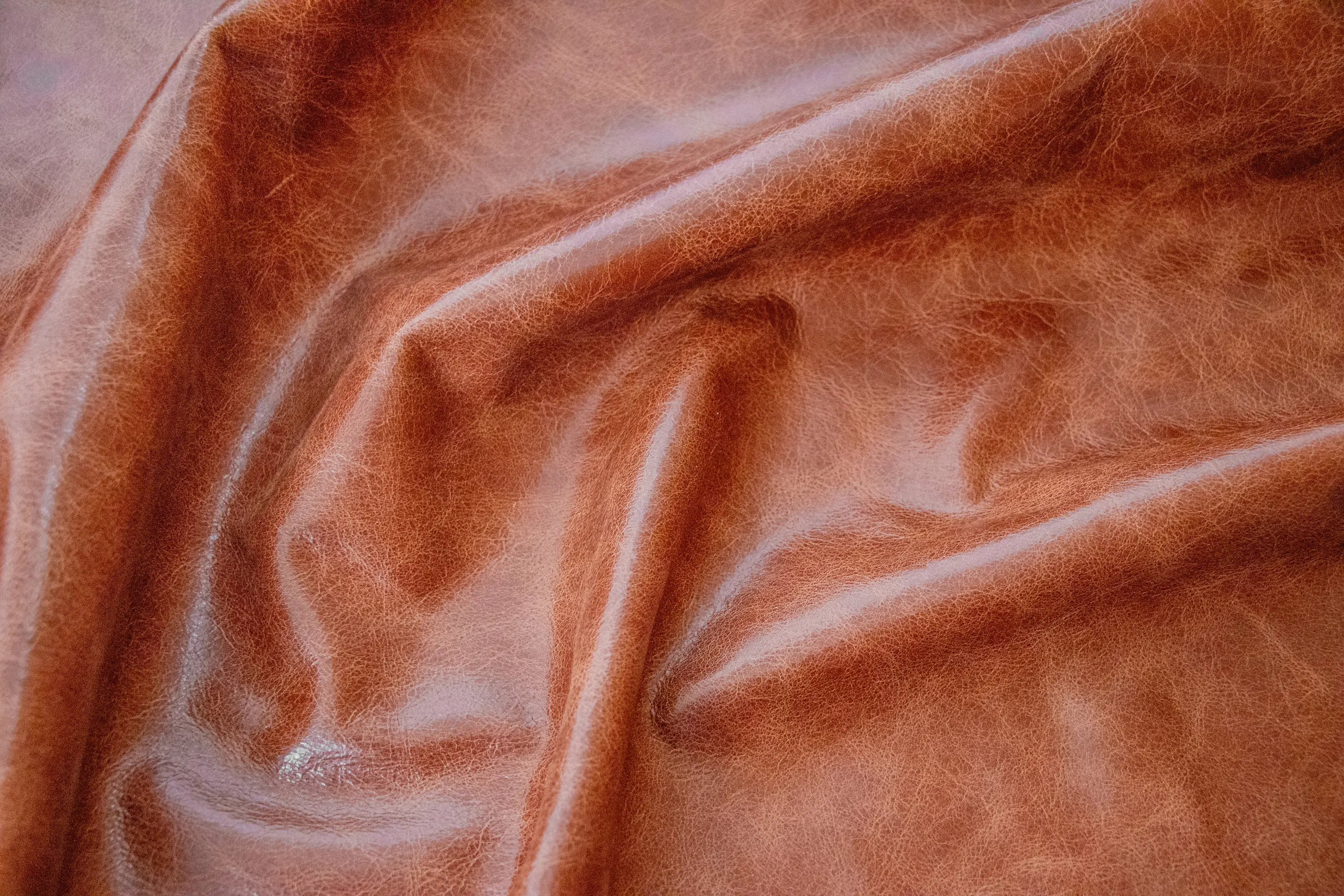 Futura Leathers - Pista Arabesque