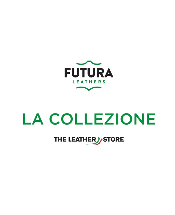 Imagen de vista previa del archivo La Collezione