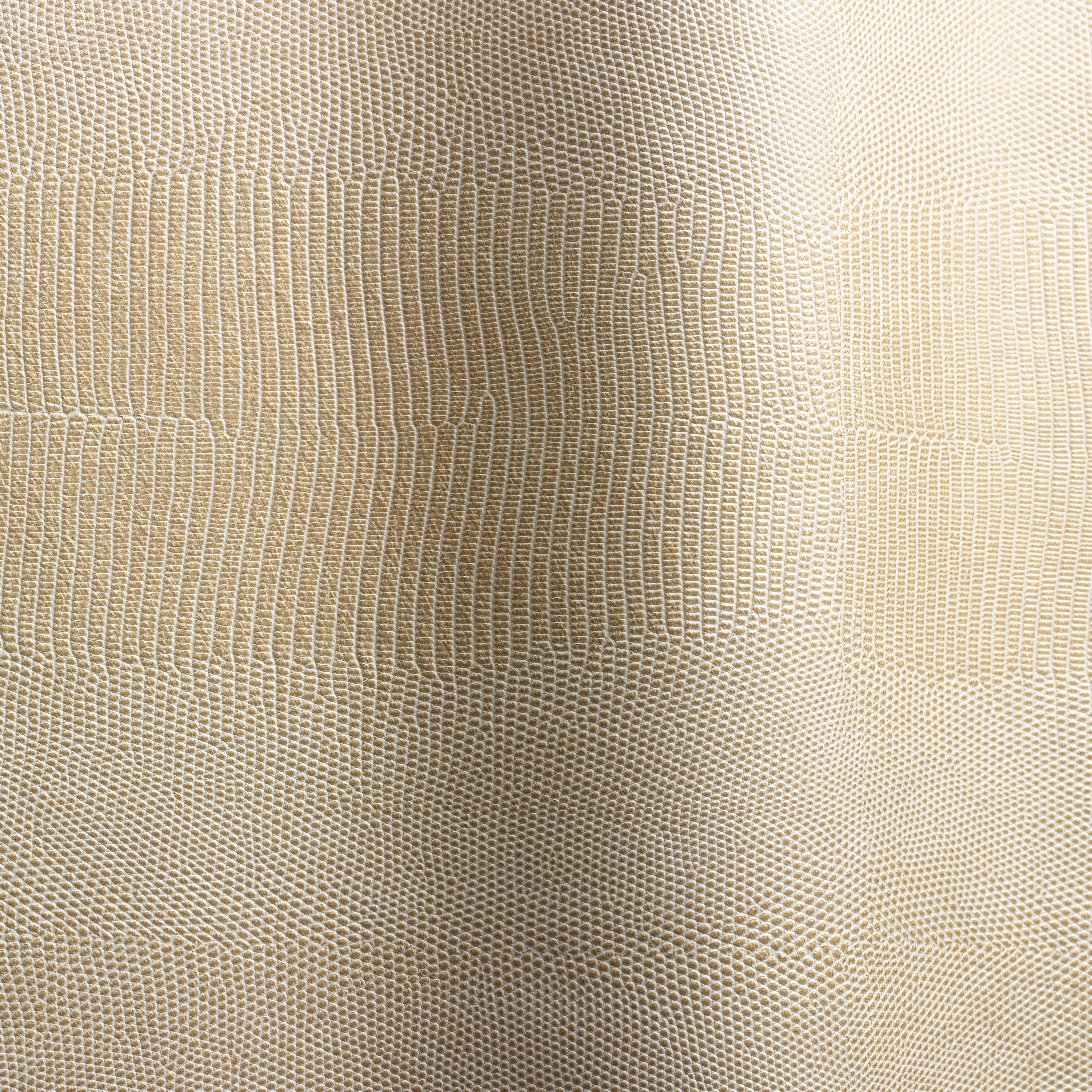 Mostra il prodotto Alteyus 52100 del produttore Futura Leathers