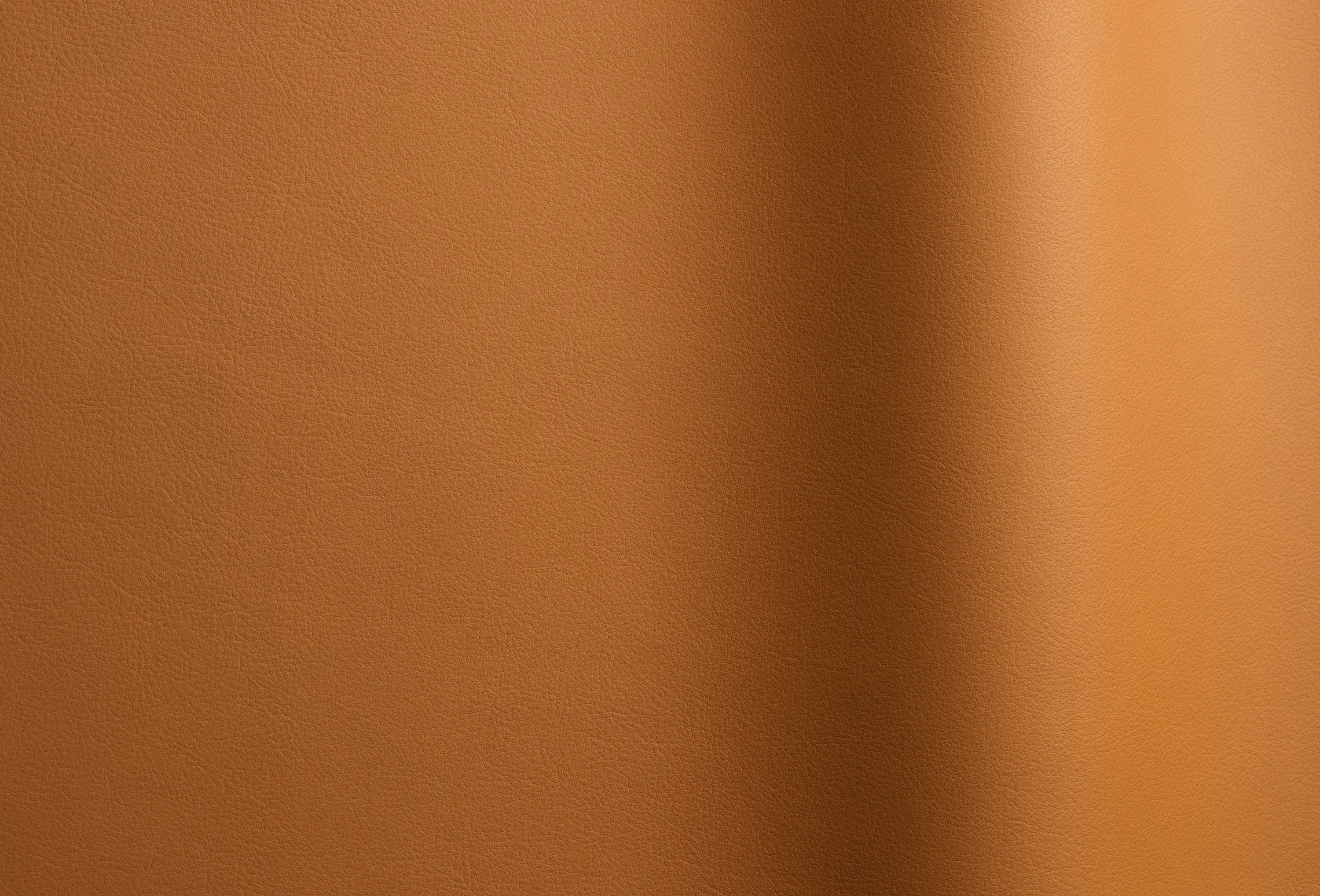 Futura Leathers - Angola 76022