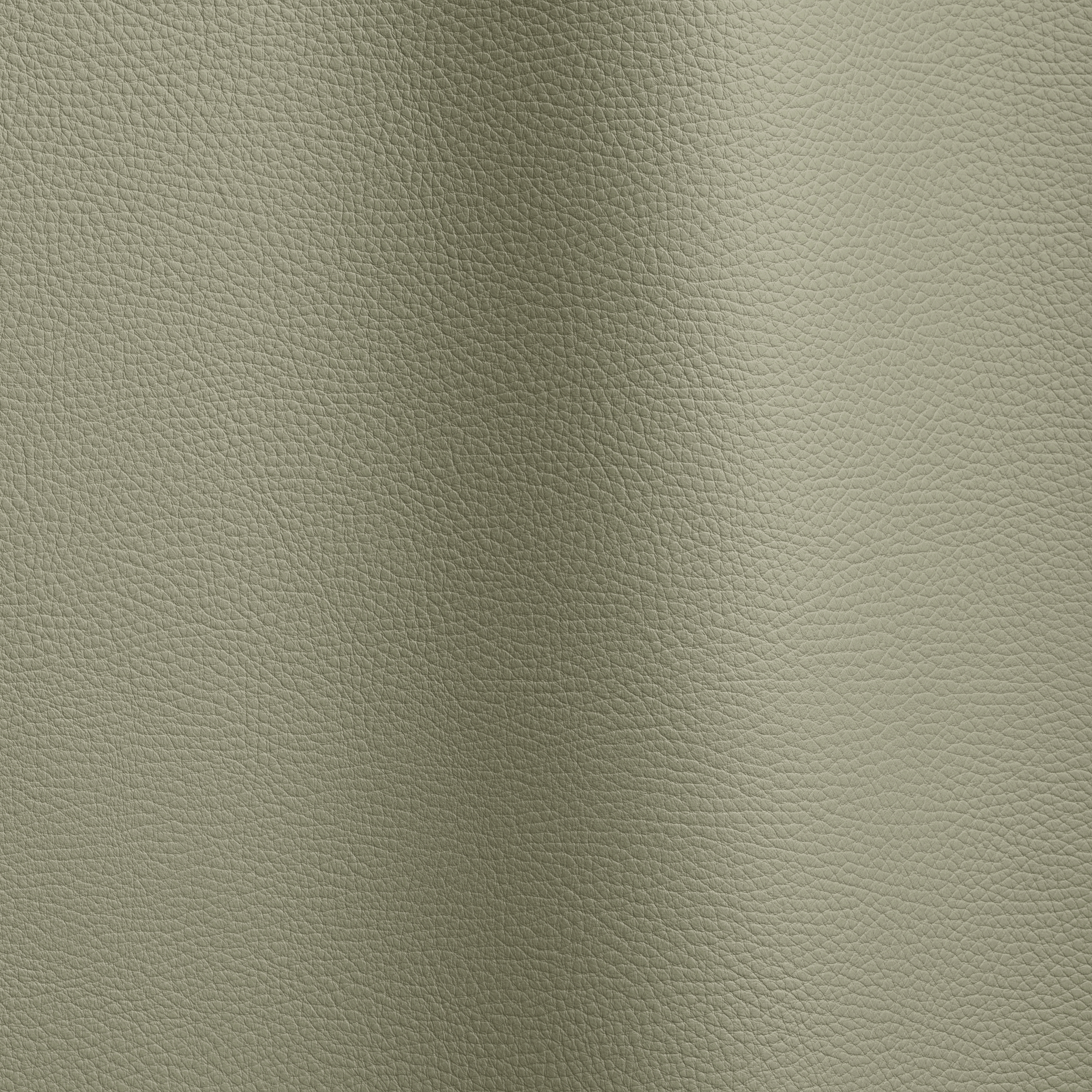 Mostra il prodotto Bizon 141 del produttore Futura Leathers
