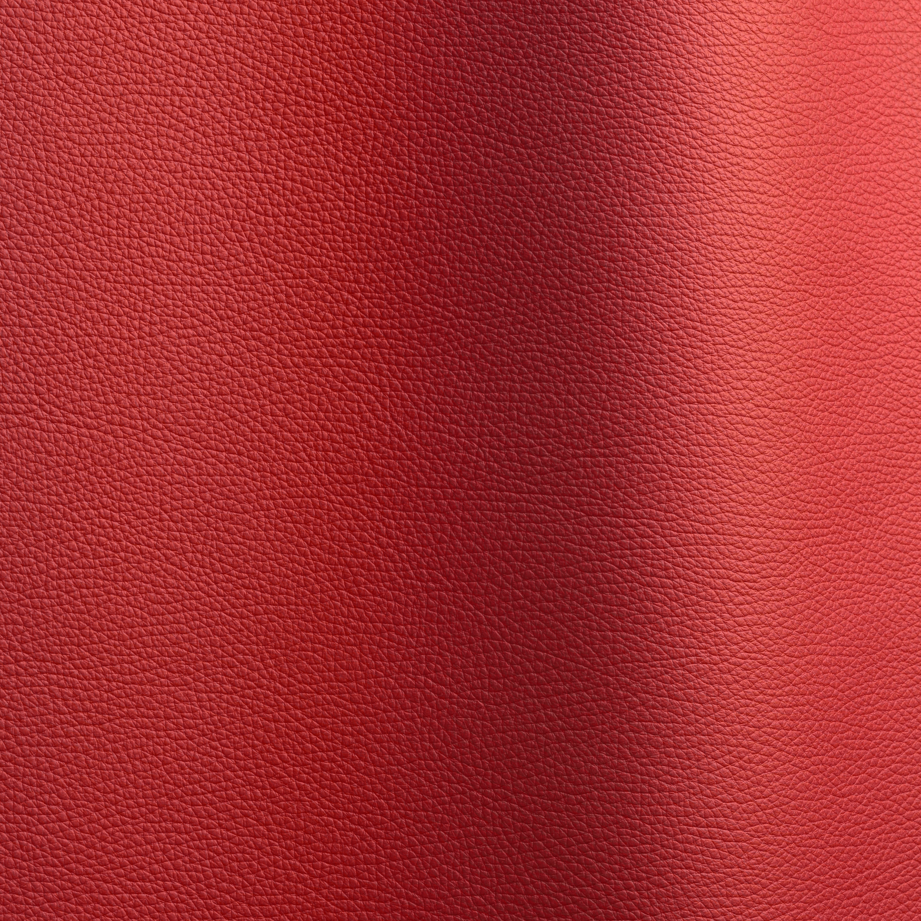 Bizon 154