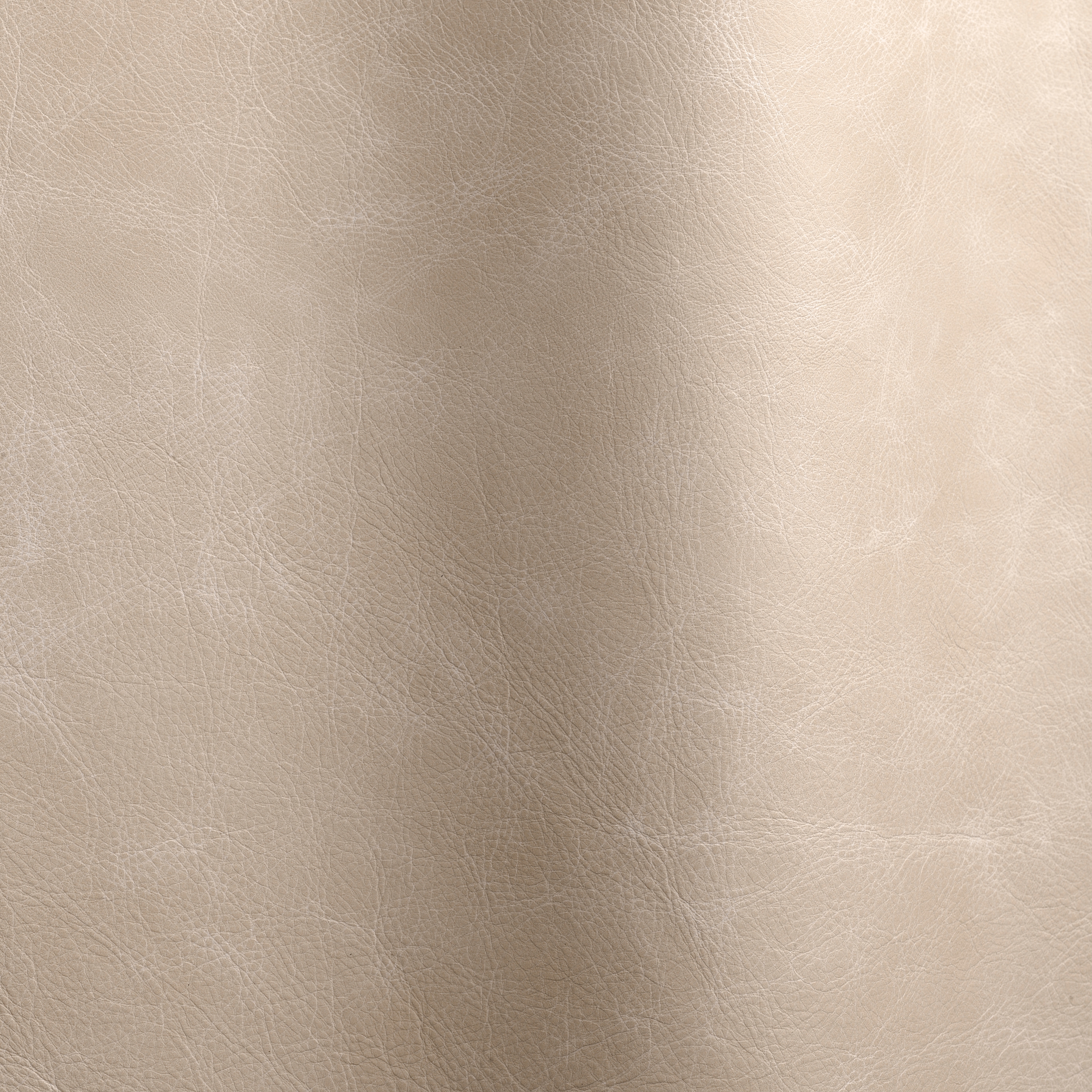 Mostra il prodotto Etna 16102 del produttore Futura Leathers