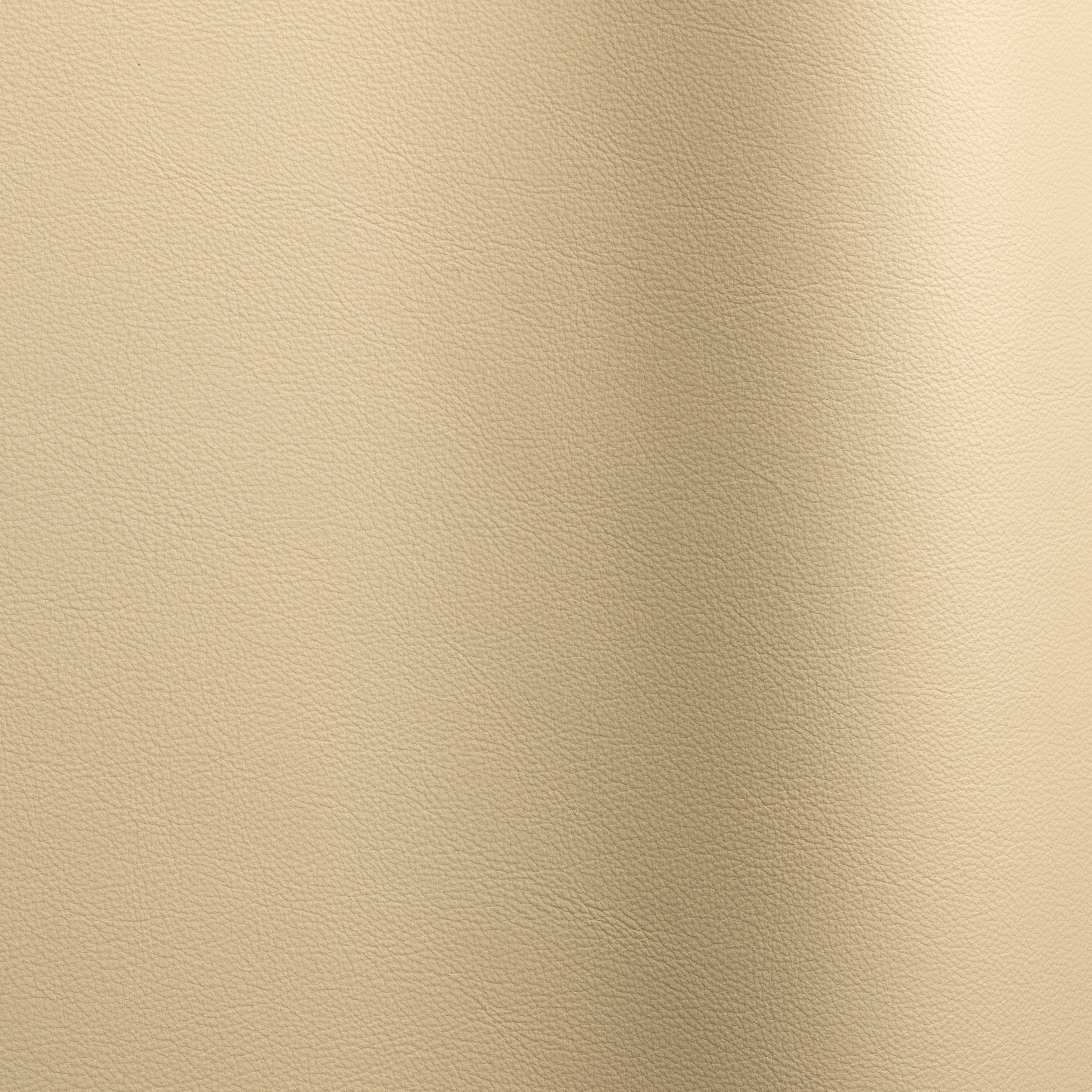 Mostra il prodotto Lena 2206 del produttore Futura Leathers