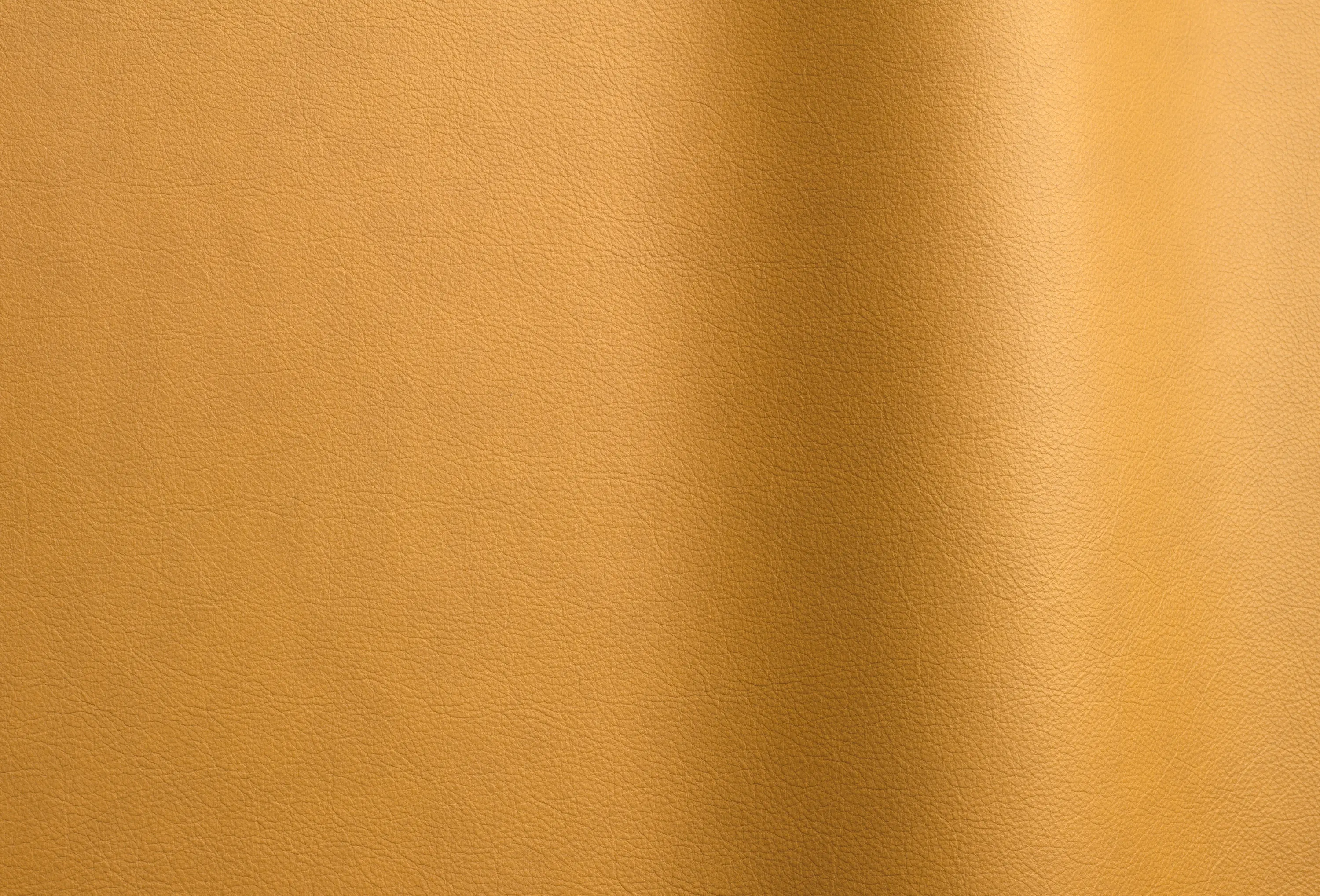 Futura Leathers - Lena 621 TT