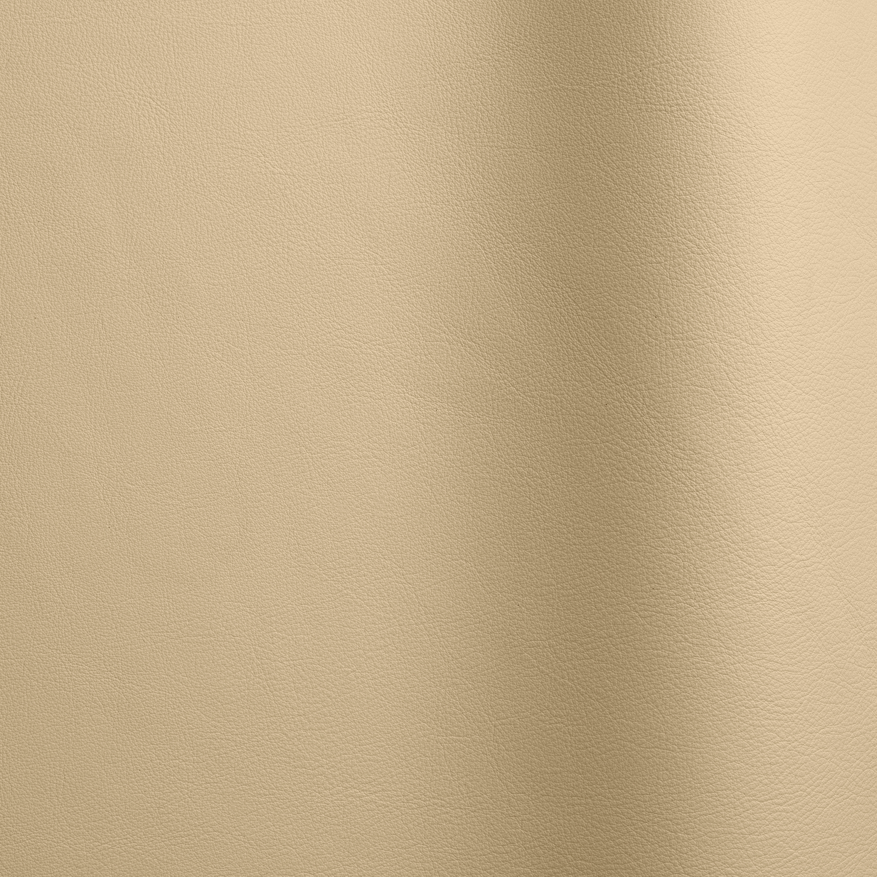 Nappa Leder 10016