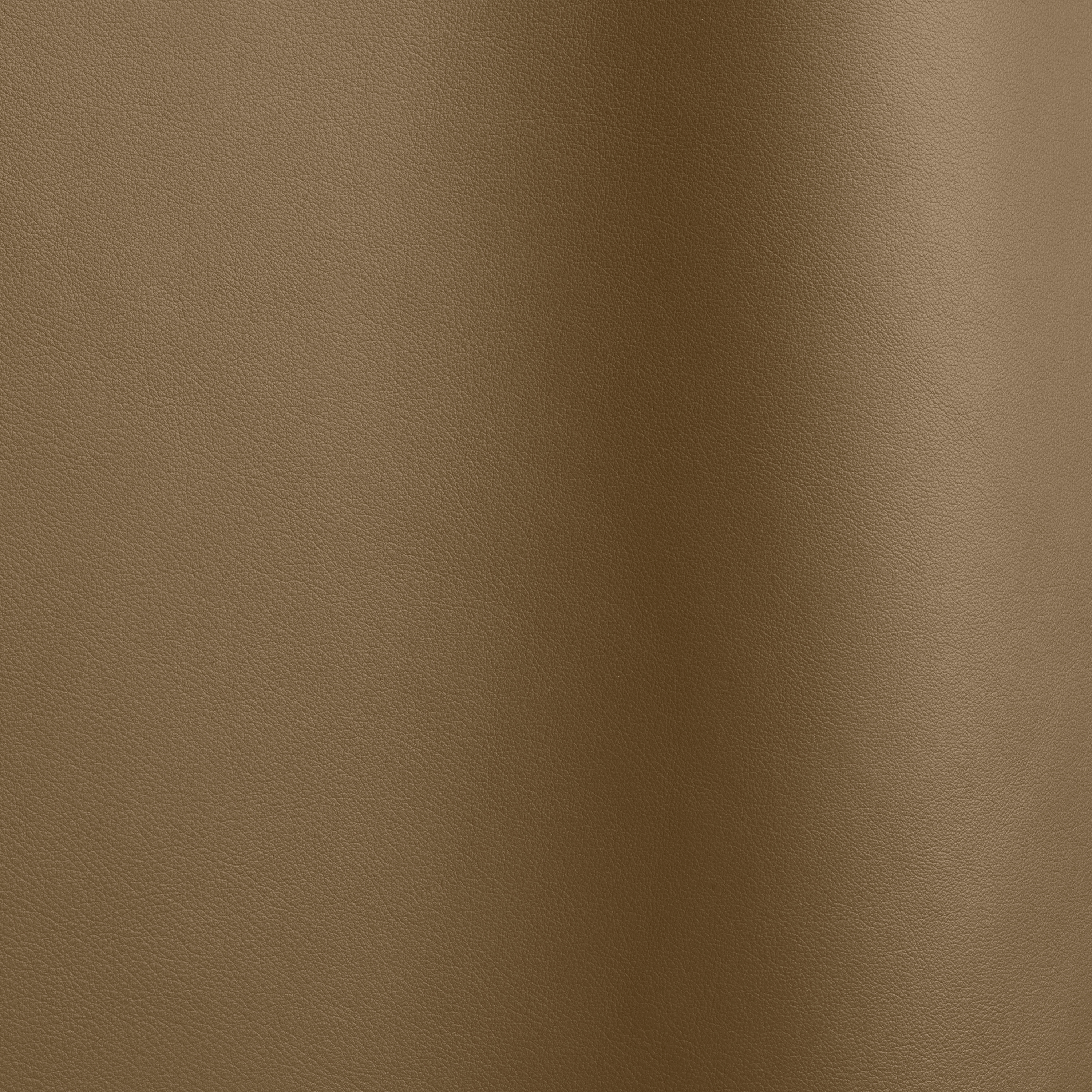 Nappa Leder 10058