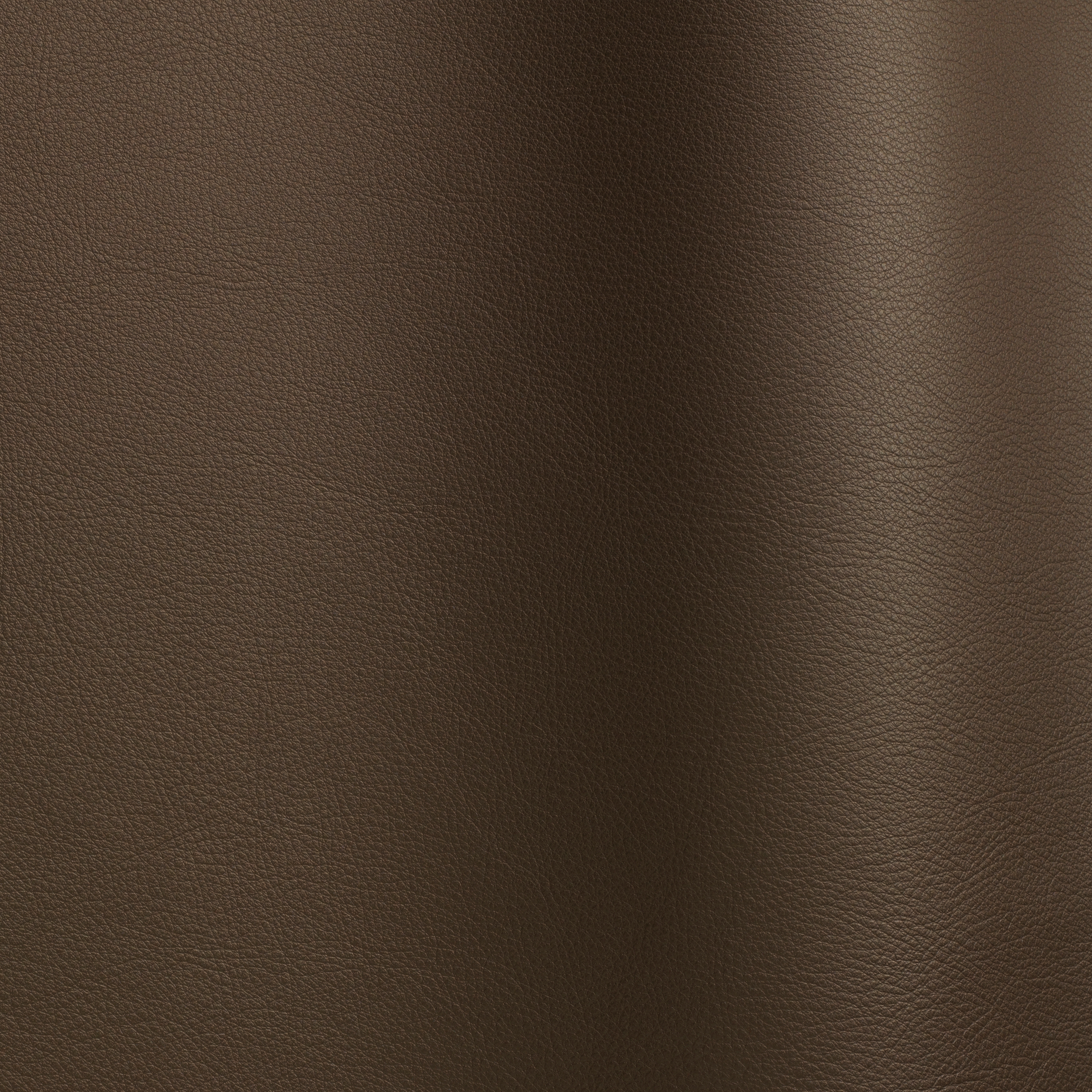 Nappa Leder 10066