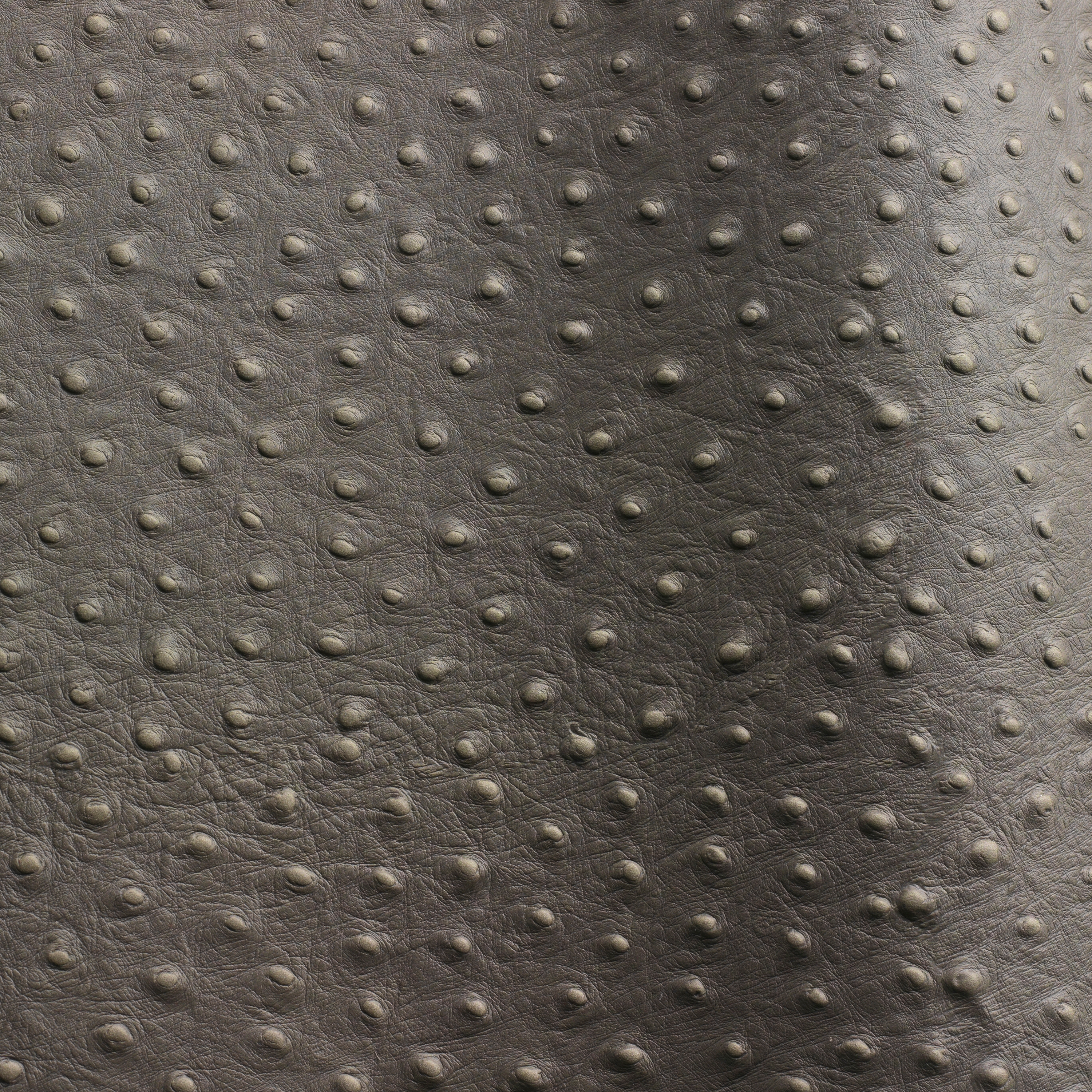 Mostra il prodotto Ostrich del produttore Futura Leathers