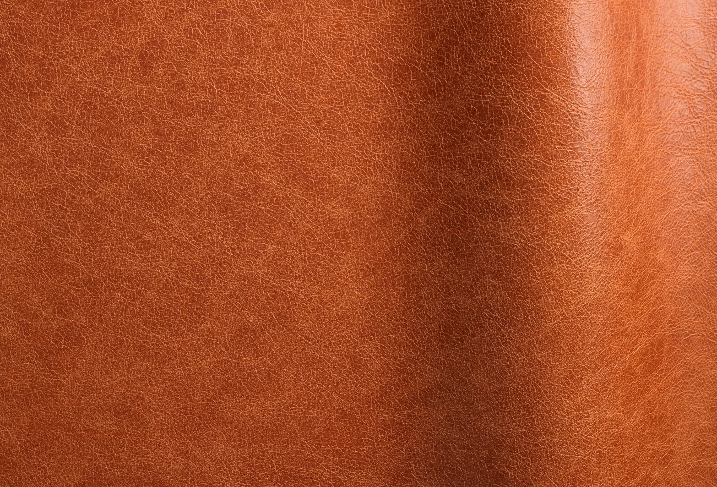 Futura Leathers - Pista Arabesque