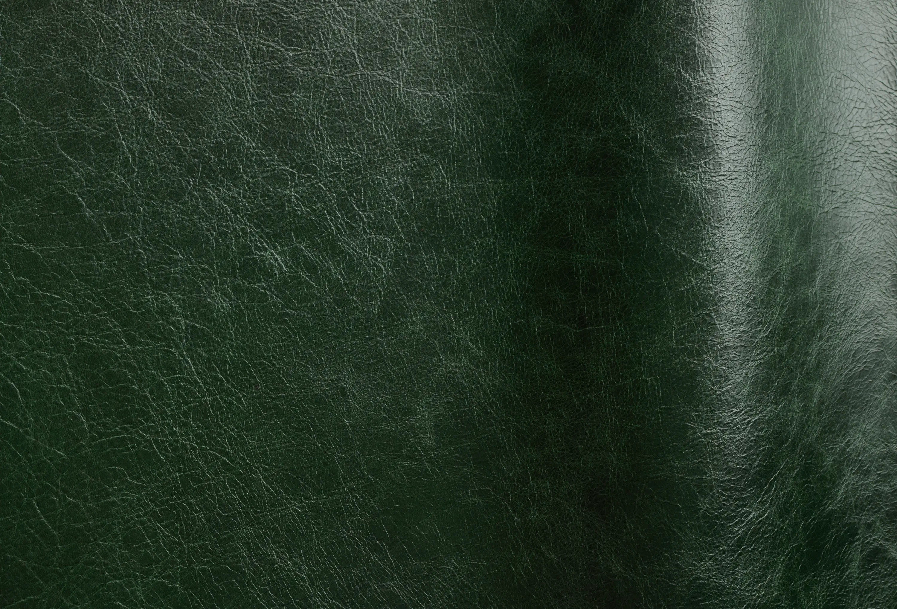 Futura Leathers - Pista Foresta