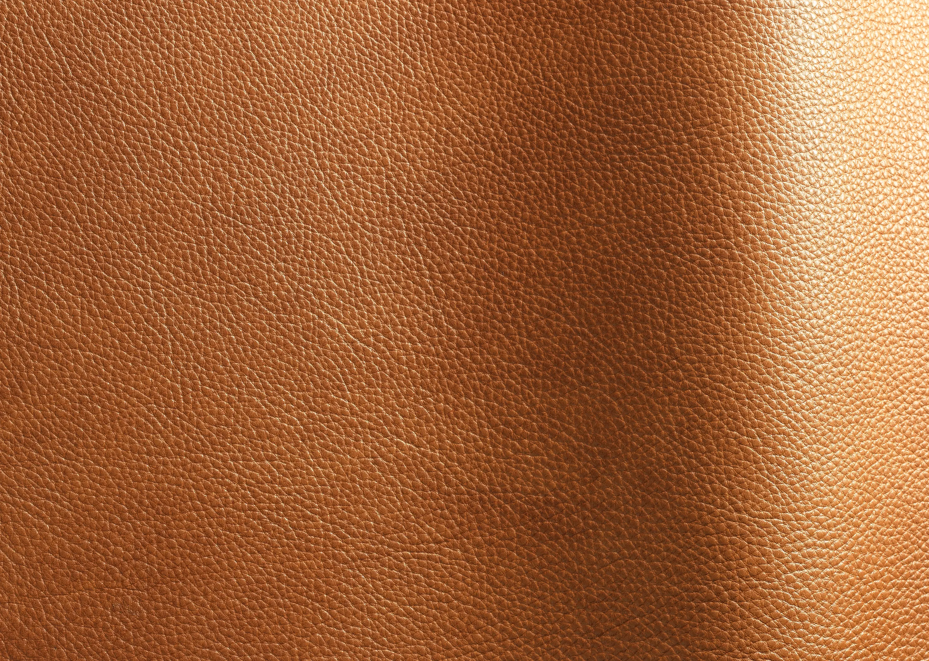 Futura Leathers - Reale 11020
