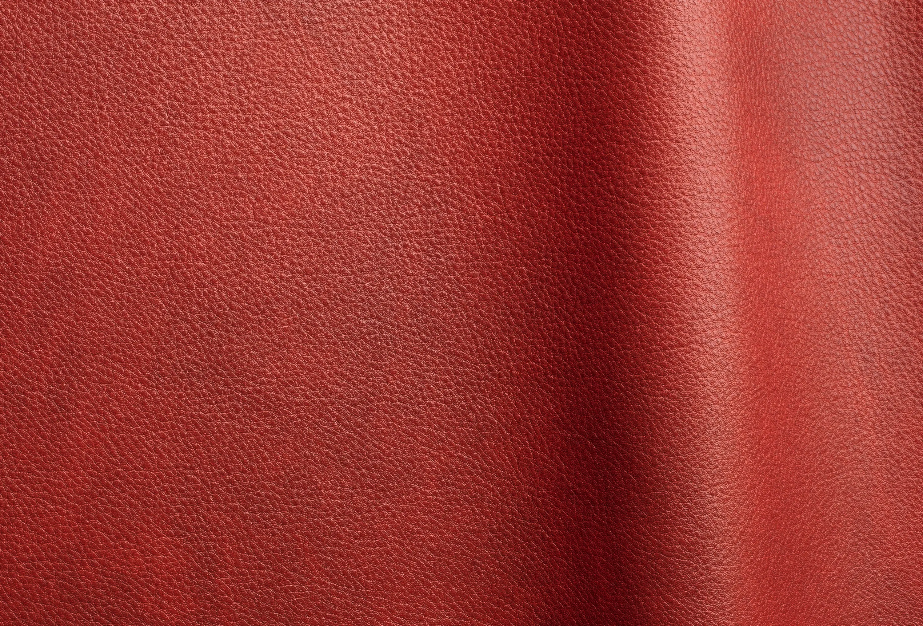 Futura Leathers - Reale 11050