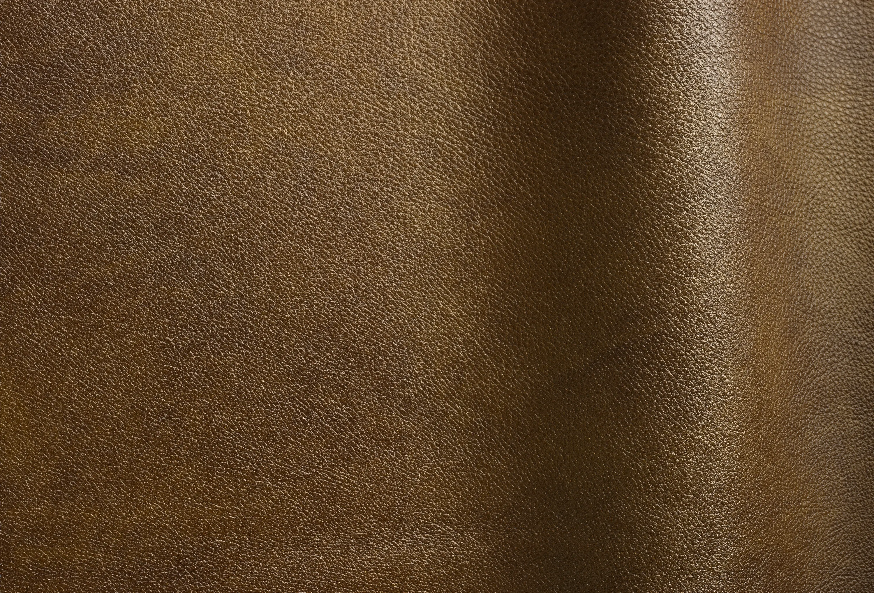 Futura Leathers - Reale 11078