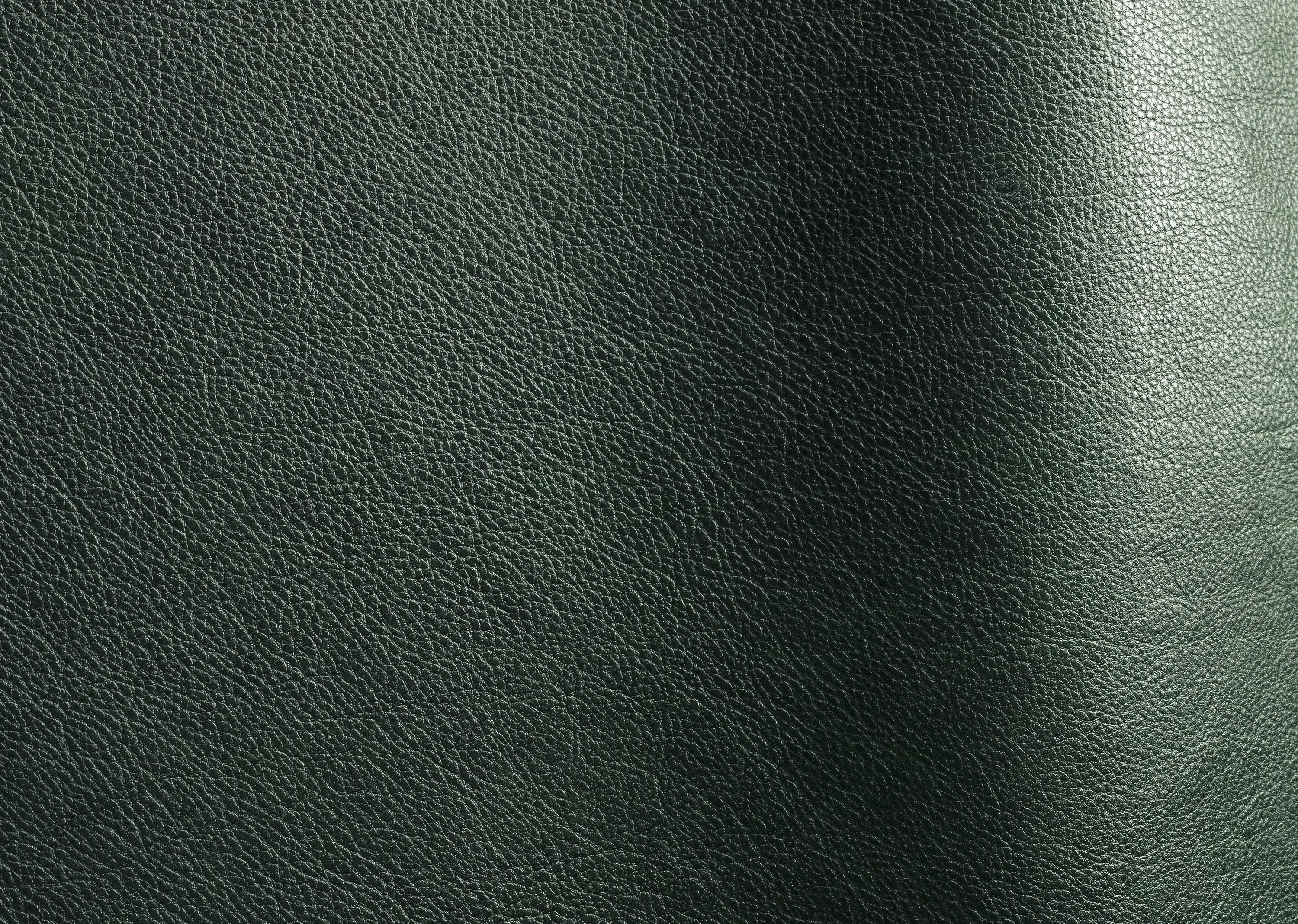 Futura Leathers - Reale 11086