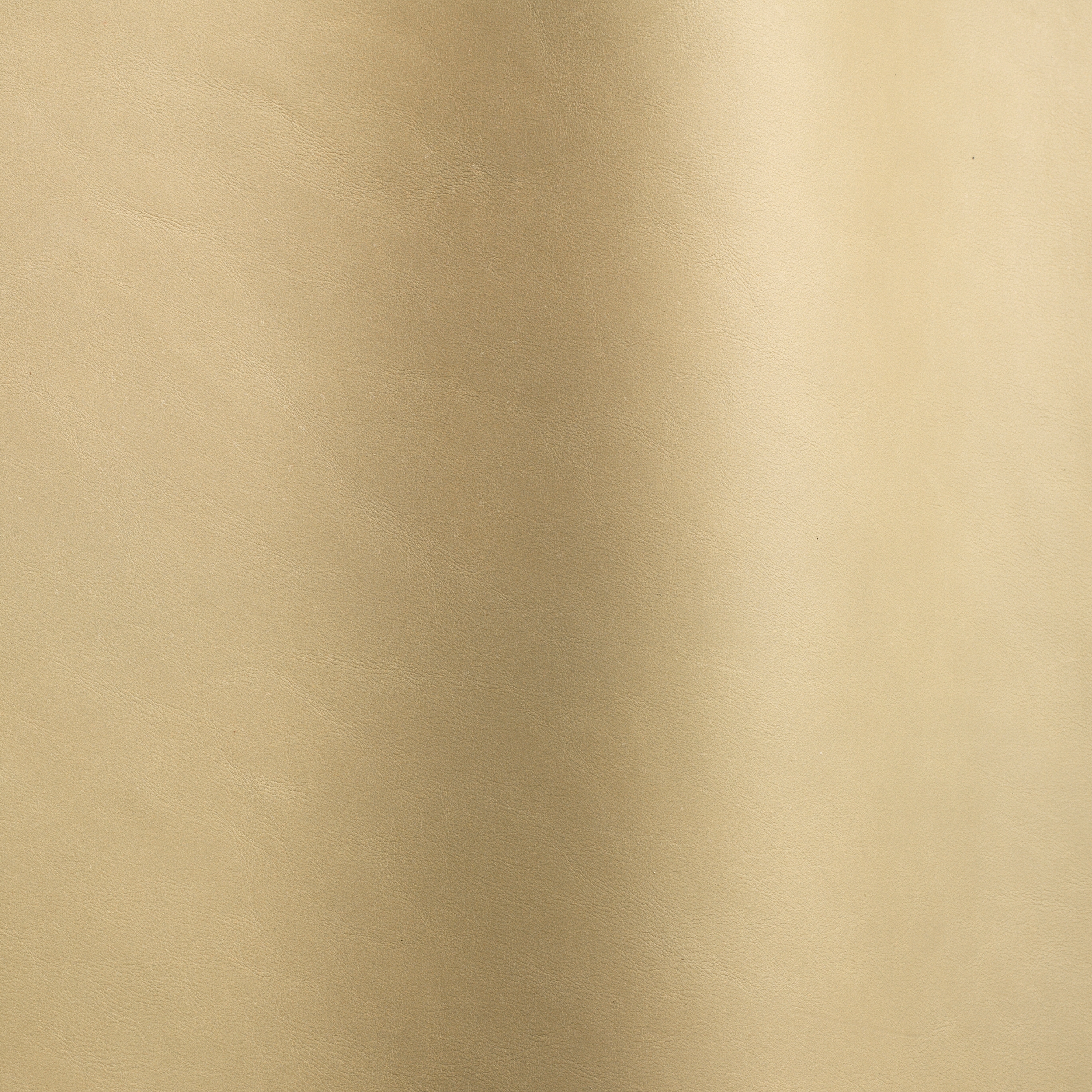 Silk 0197