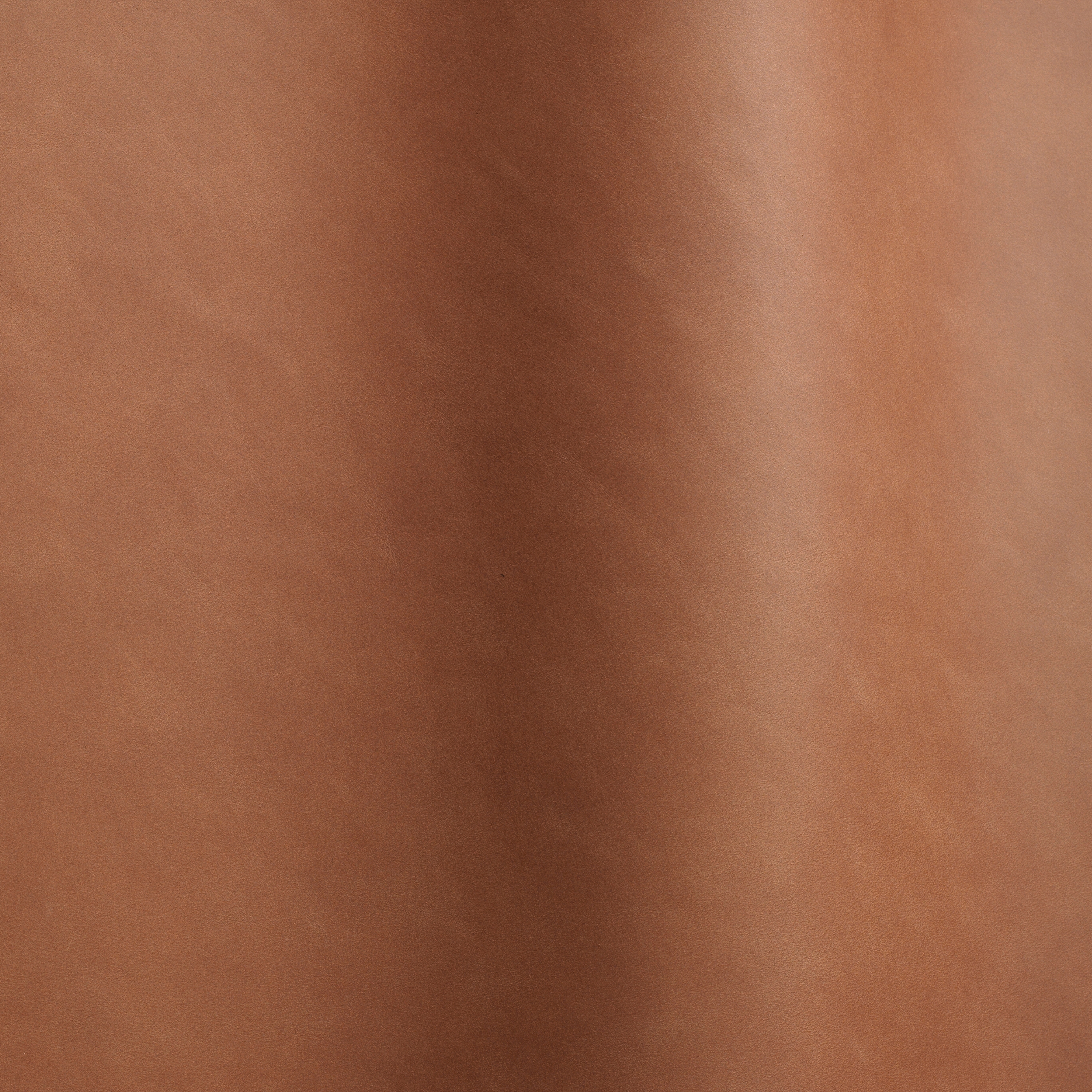 Silk 0229
