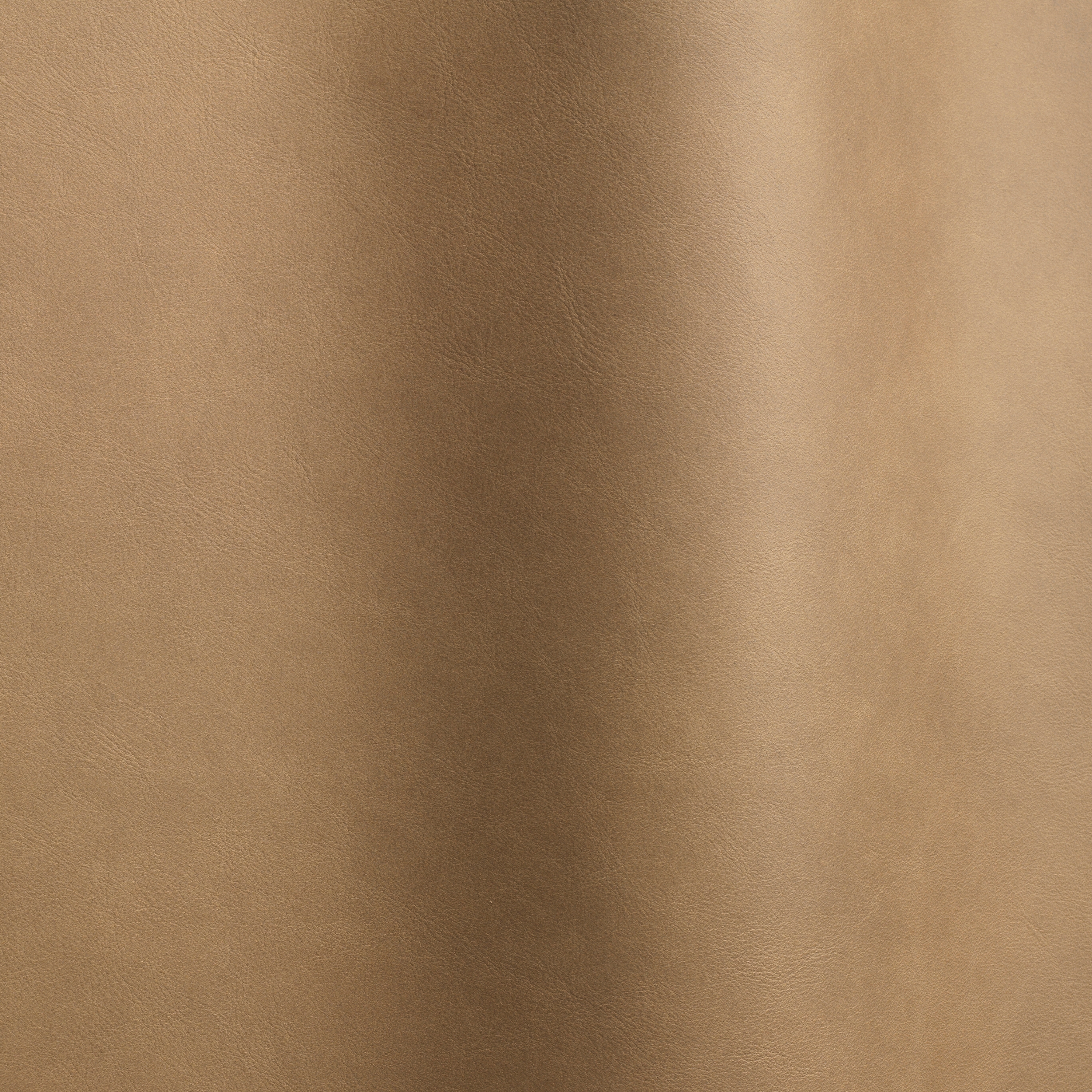 Silk 0258