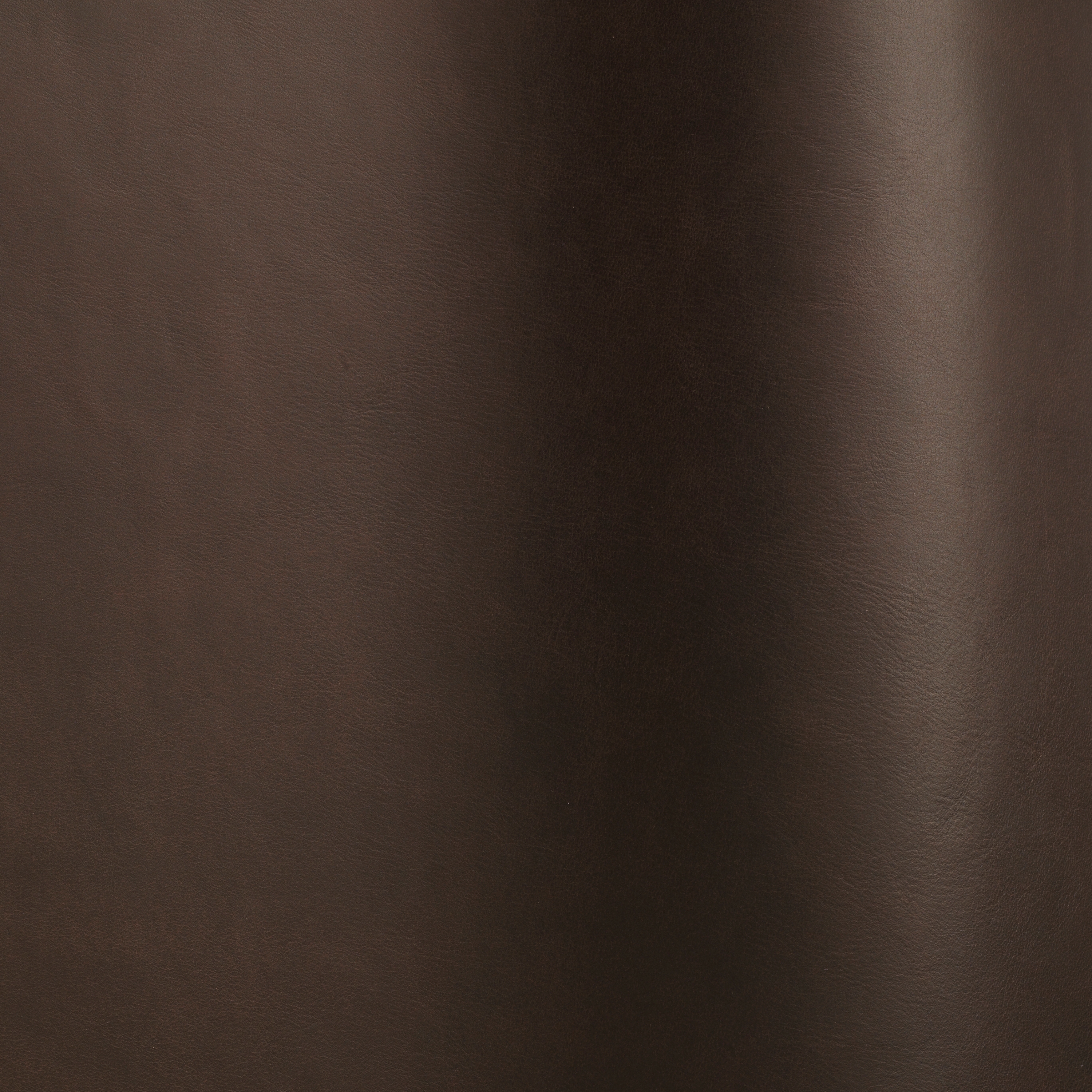 Silk 03009
