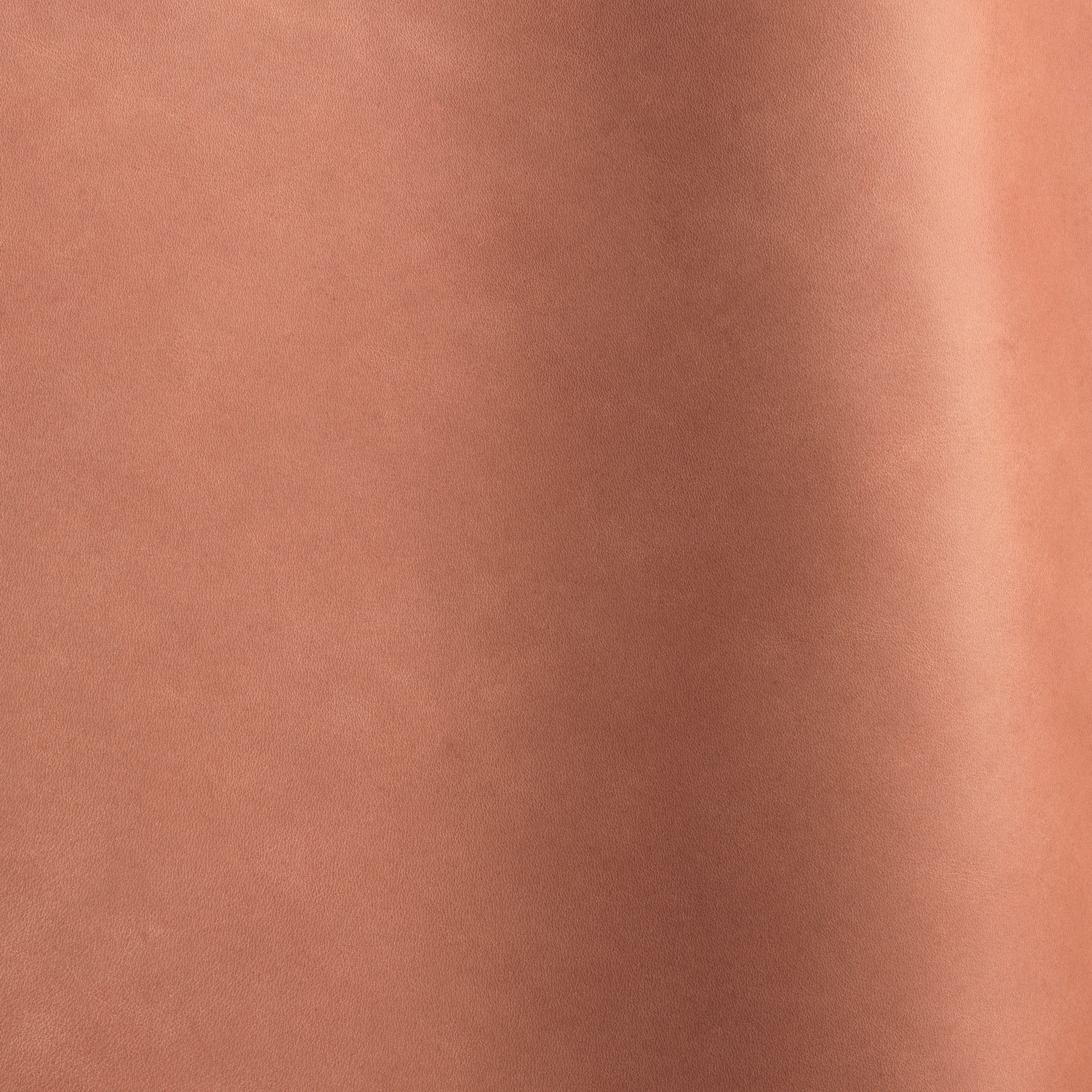Silk 04010