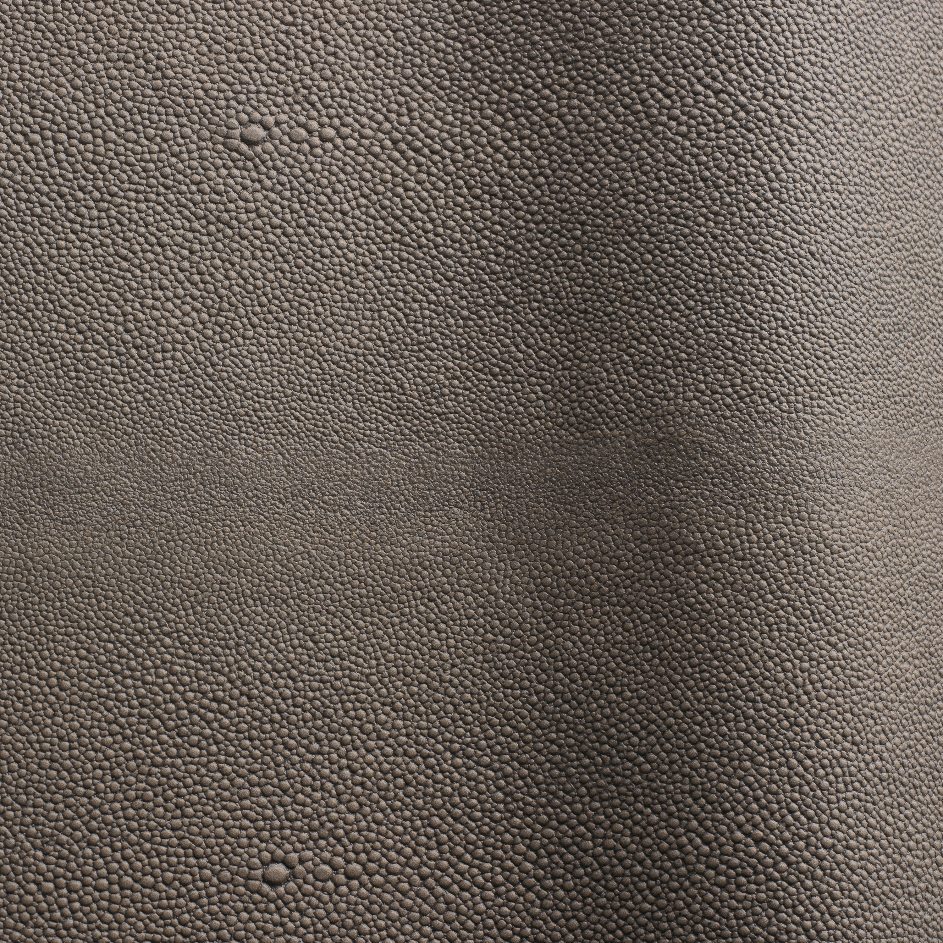 Mostra il prodotto Stingray del produttore Futura Leathers