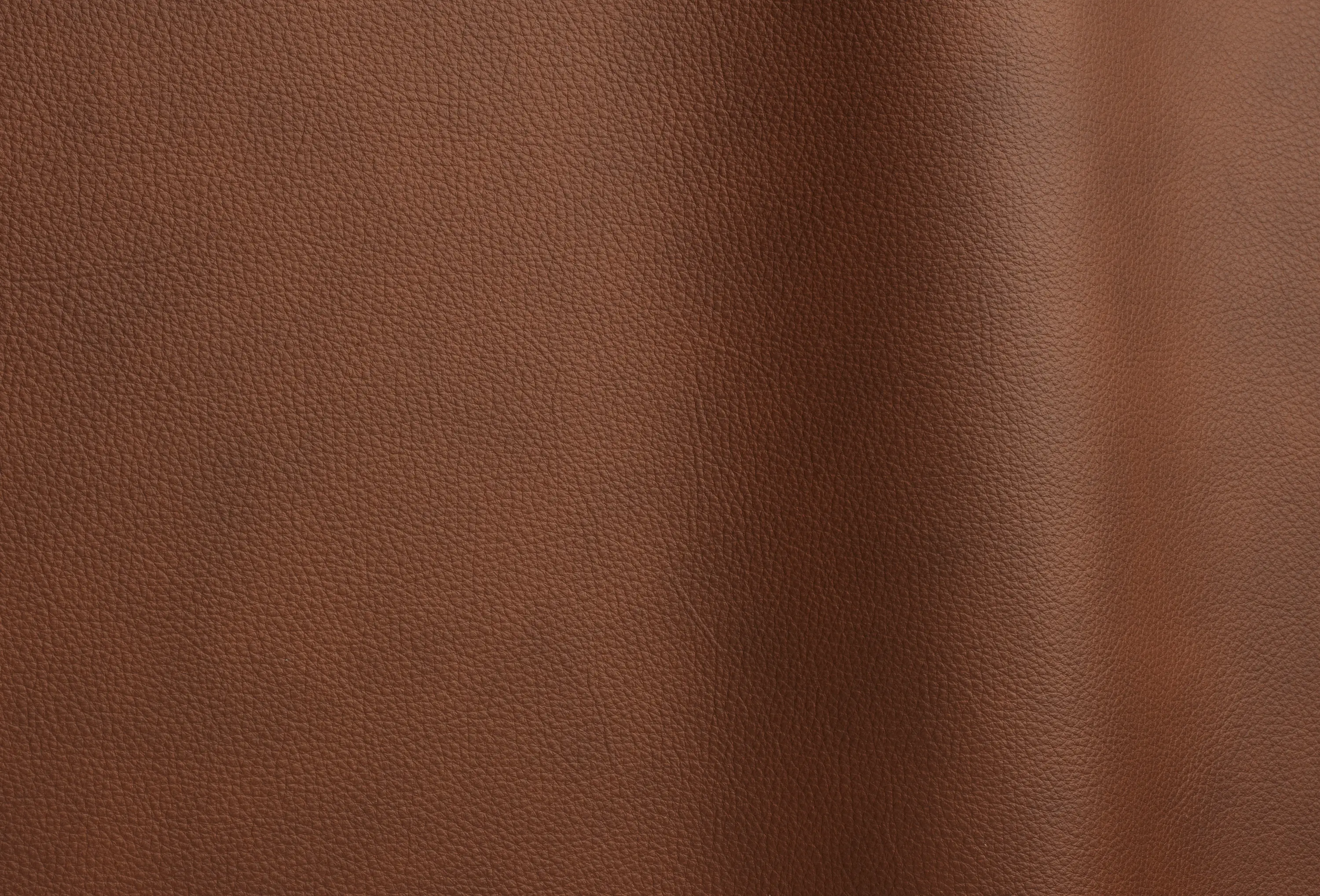 Futura Leathers - Wind 4101 TT