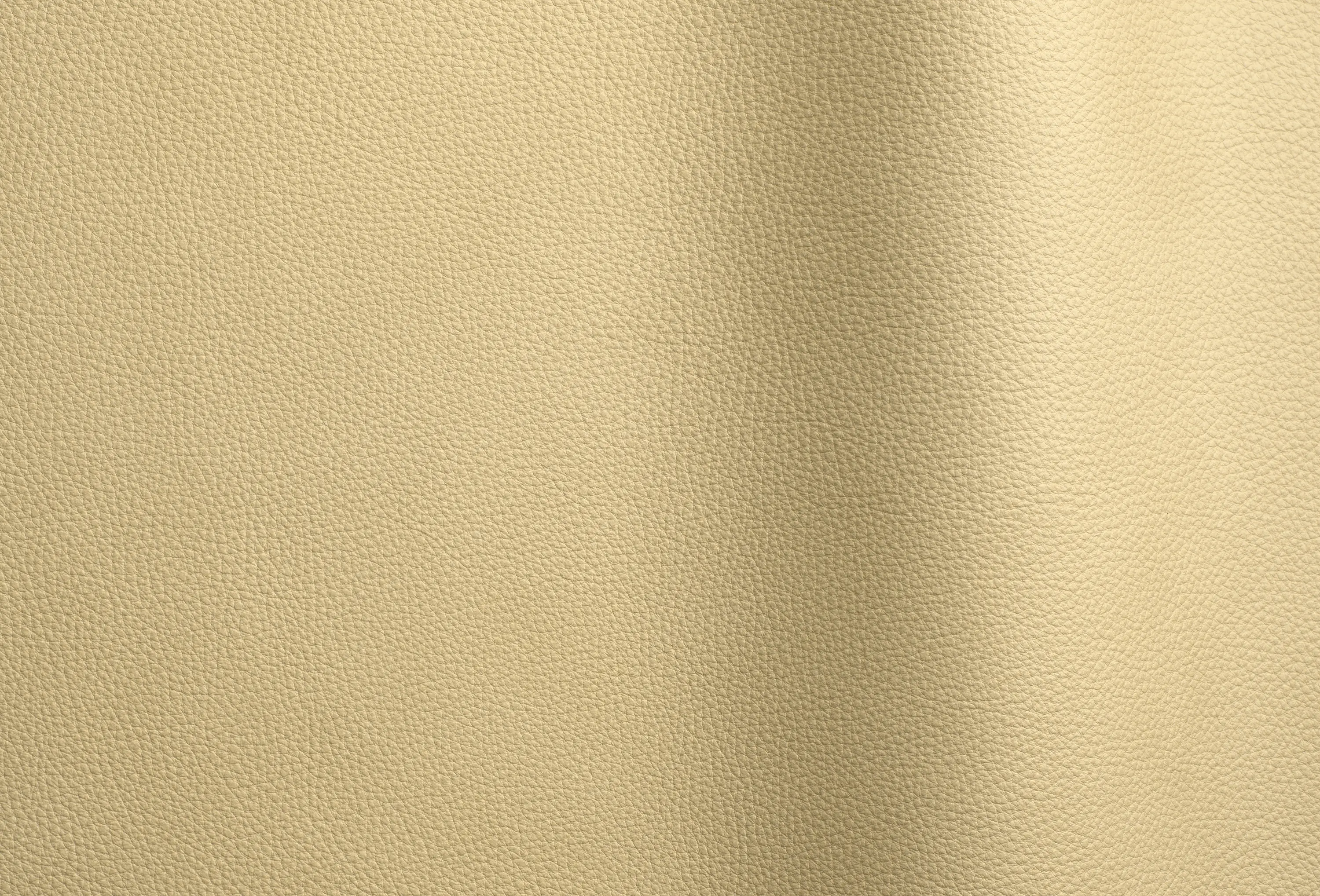 Futura Leathers - Wind 4108 TT