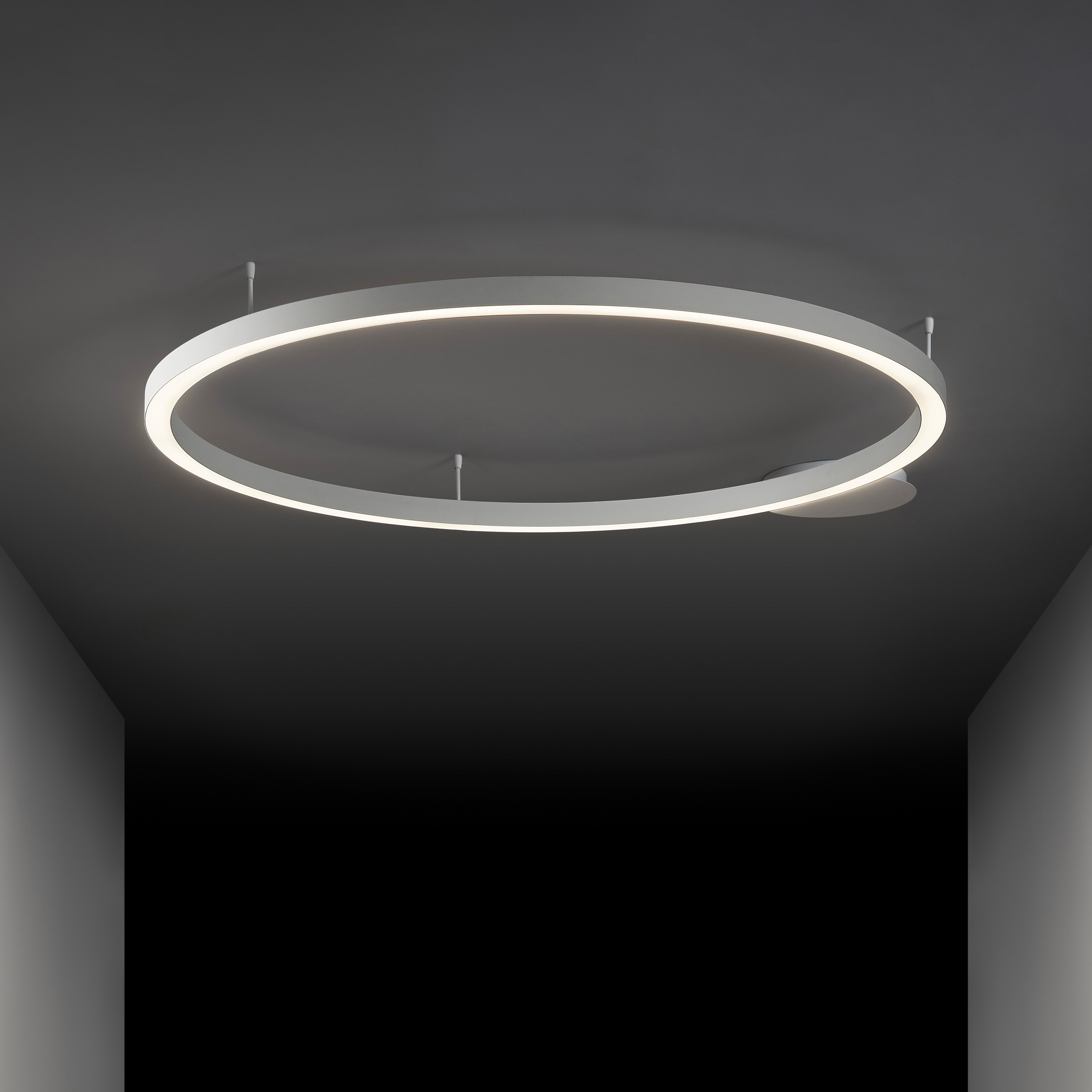 Mostra il prodotto TR Ceiling Down del produttore Insolit