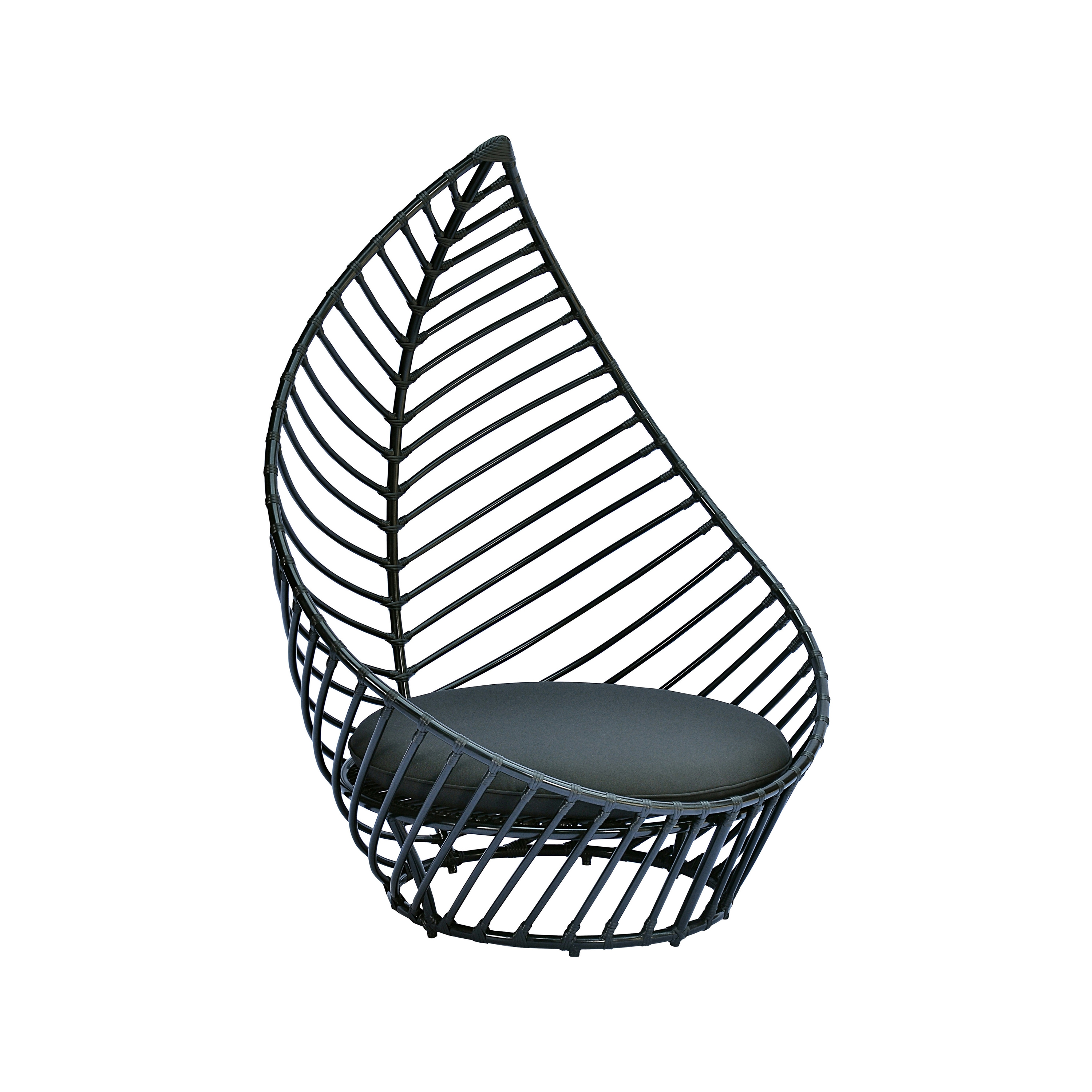 Foglia Lounge Chair
