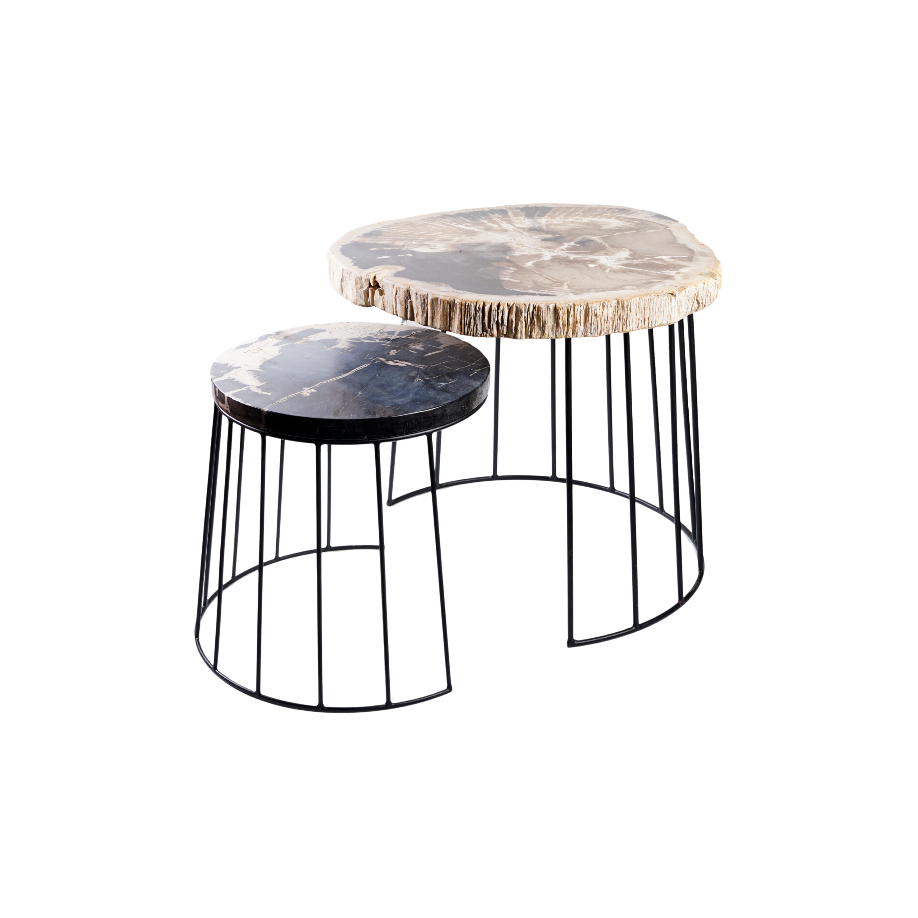 Display product Thea Petrified Round Coffee Table S/2 from manufacturer cbdesign